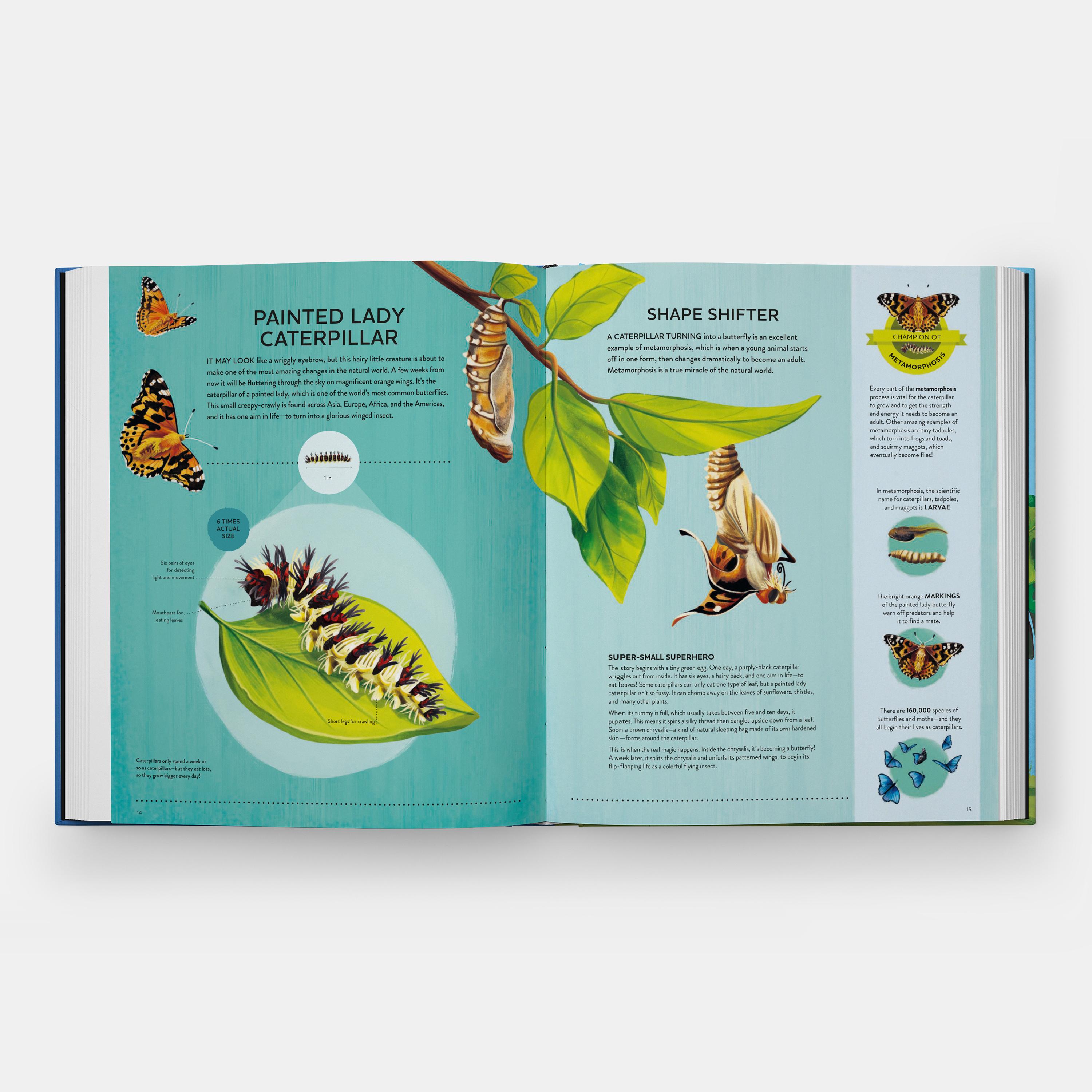 I piccoli campioni di Nature Il grande libro delle piccole creature che fanno cose potenti in vendita 2