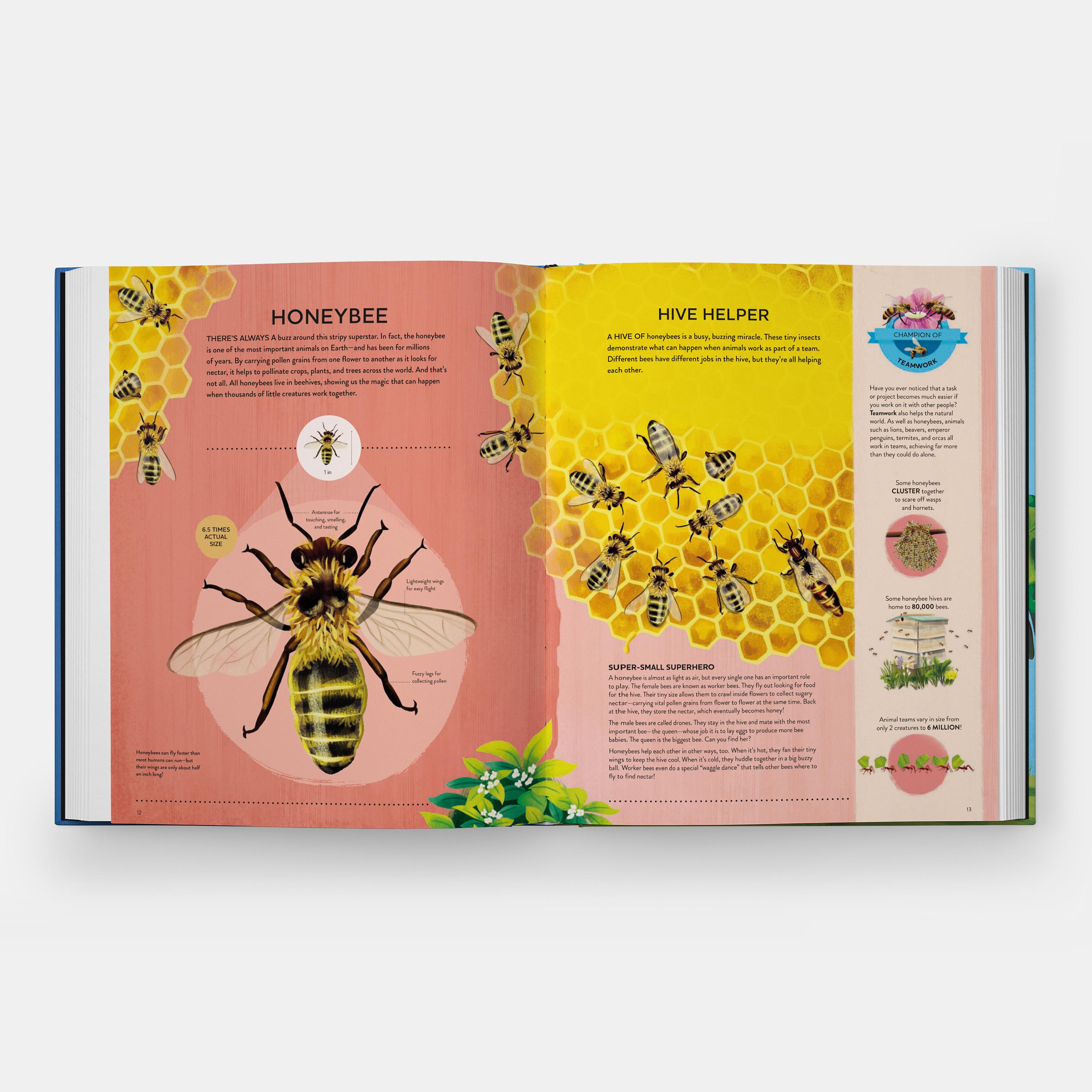 I piccoli campioni di Nature Il grande libro delle piccole creature che fanno cose potenti in vendita 3