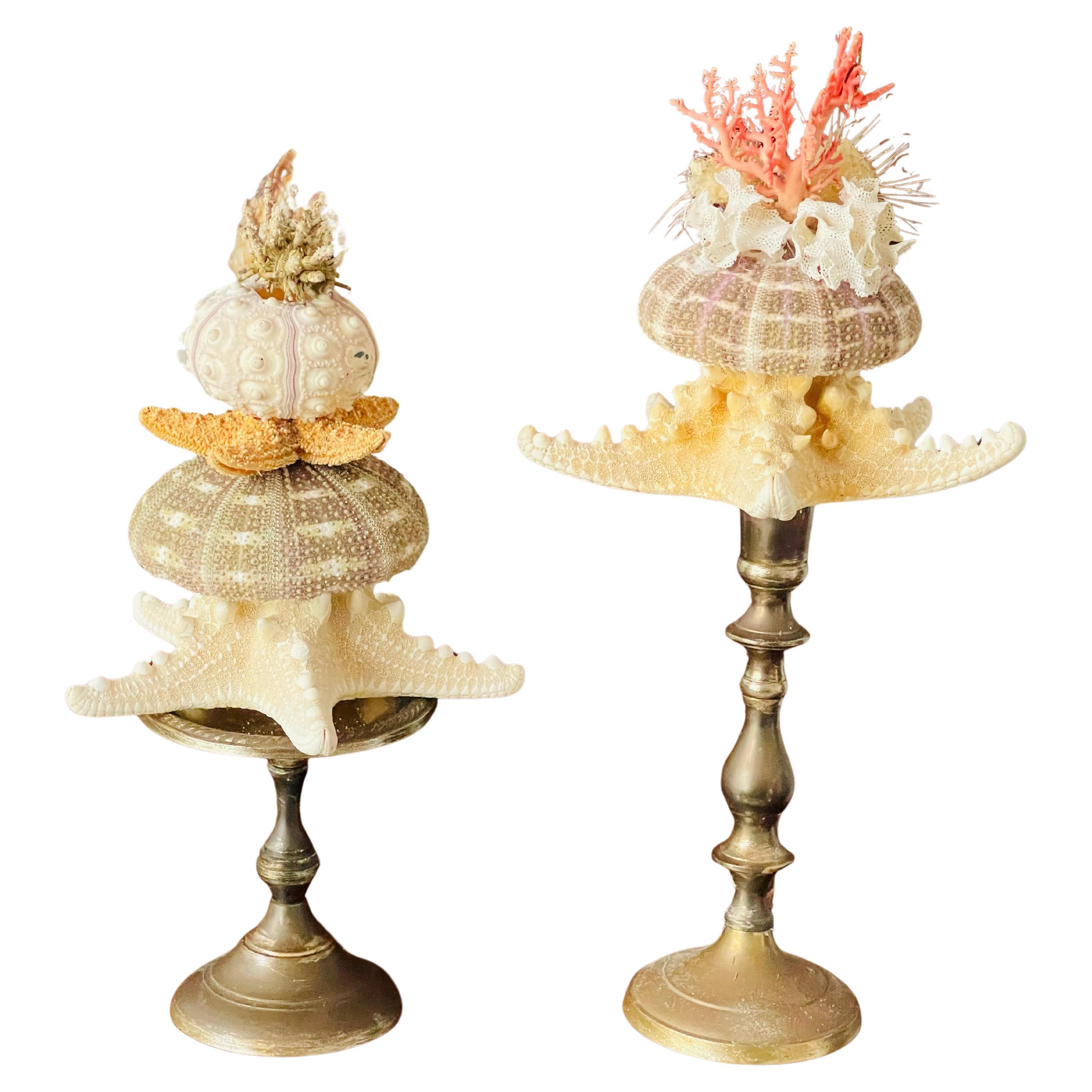 Natures Wonder Sea Shell Red Coral Mediterranean Curio