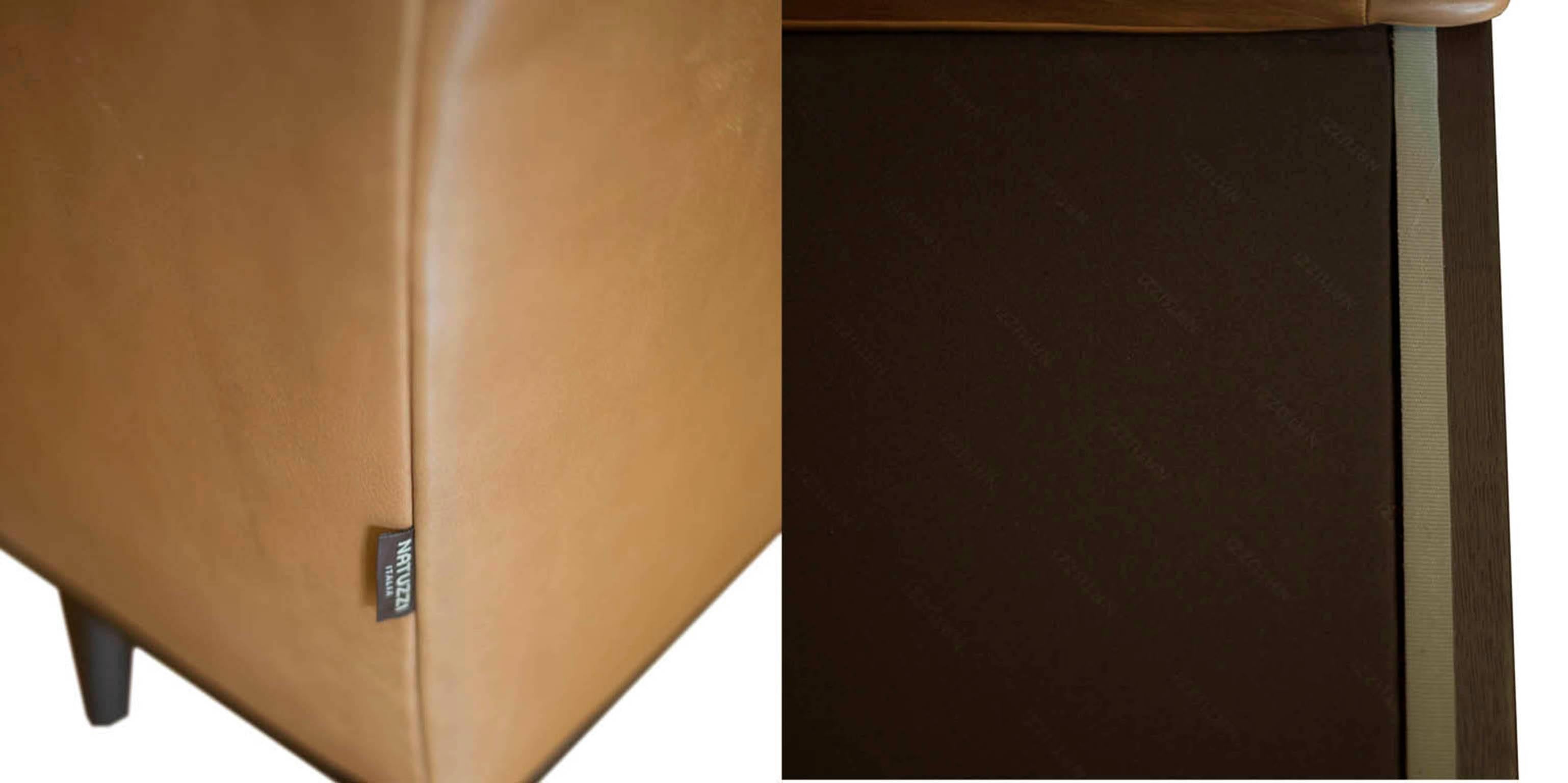 gio natuzzi