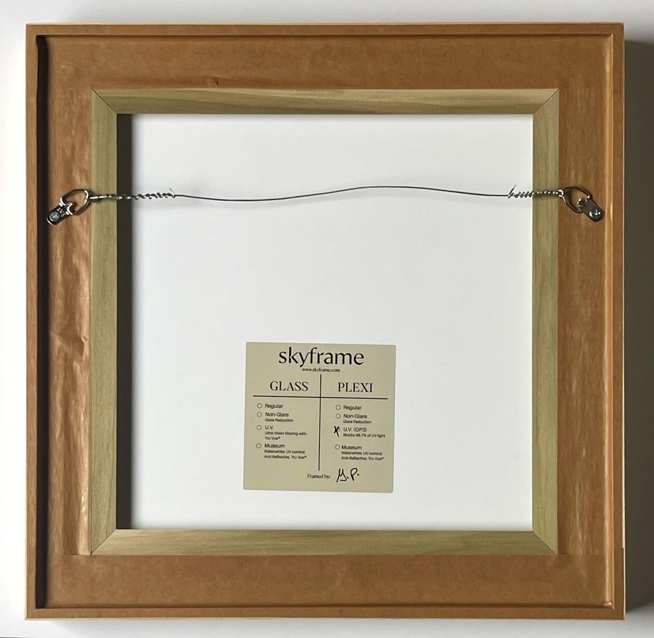 Mitte der 1960er Jahre Abstraktion Farbfeld Siebdruck signiert/N Gerahmt Famed indischen Künstler im Angebot 3