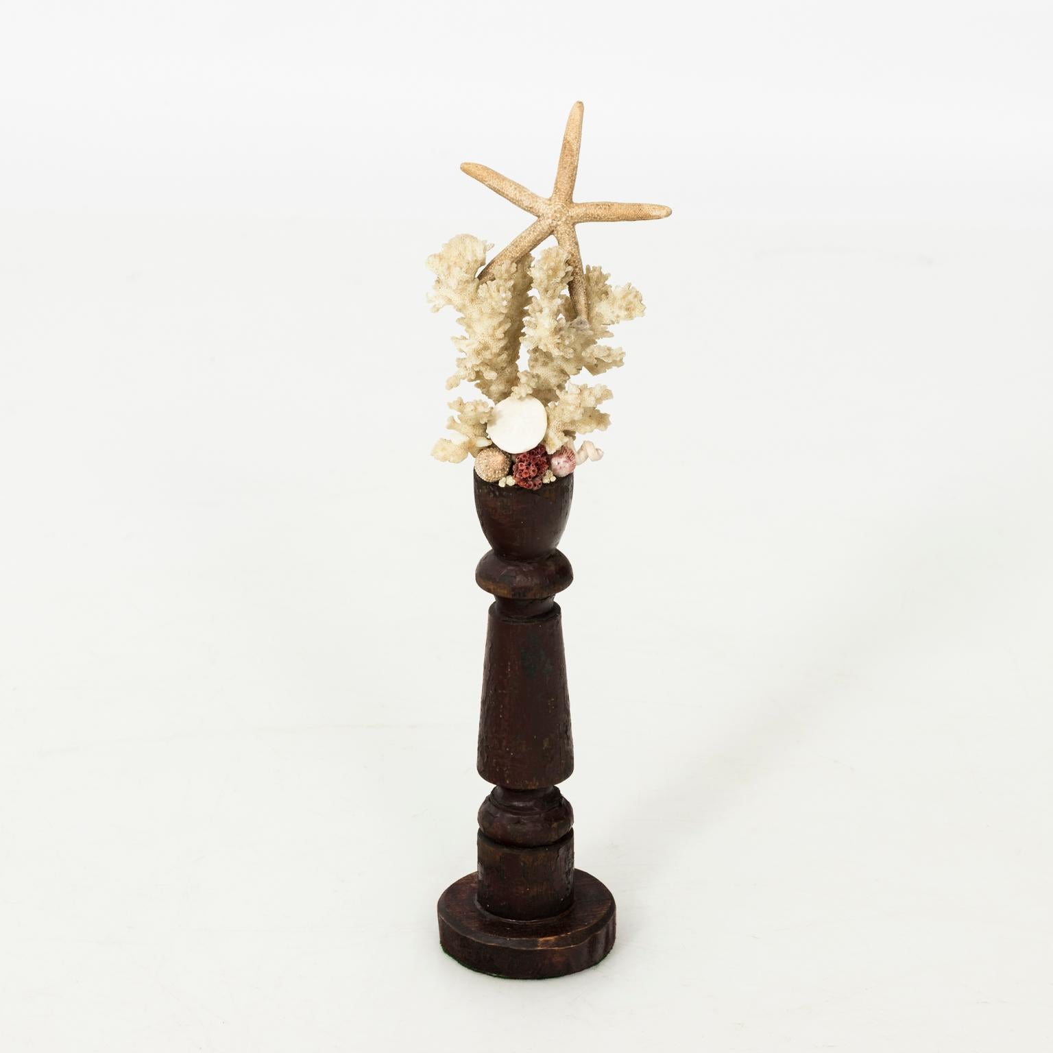 Set of six collection of nautical shells and specimens of coral on wood turned stands, circa 20th century. Crafted by local New England artisan. The sizes of each piece are: 16.00 inches height by 3.25 inches wide; 14.00 inches height by 2.75 inches