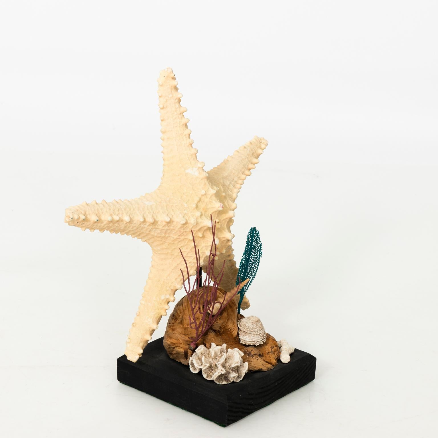 Decorative nautical shell display with coral and starfish on a wood stand, circa 20th century.
 