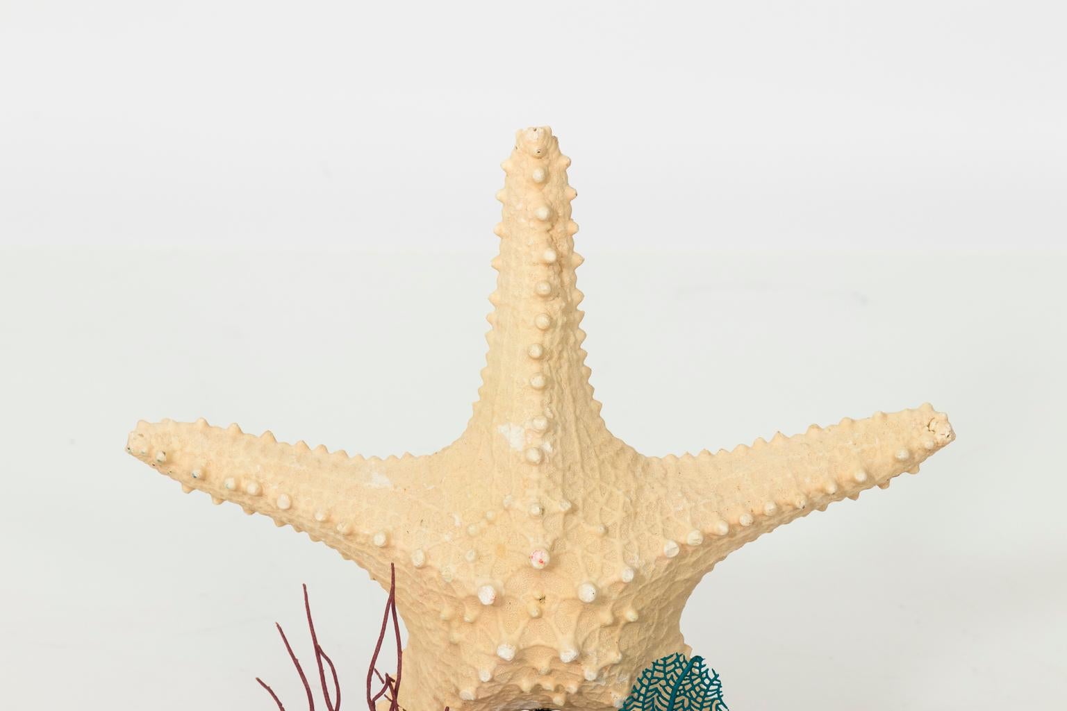 Nautical Shell Display with Starfish For Sale 2