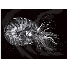 Nautilus 2 / Nueva Zoologa / Selene Lazcarro