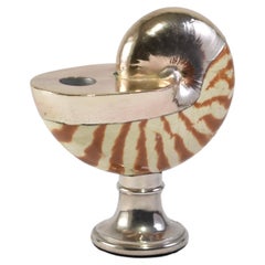 Nautilus Candle Holder