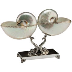 Double coquillage Nautilus en nacre sur base en argent Triton