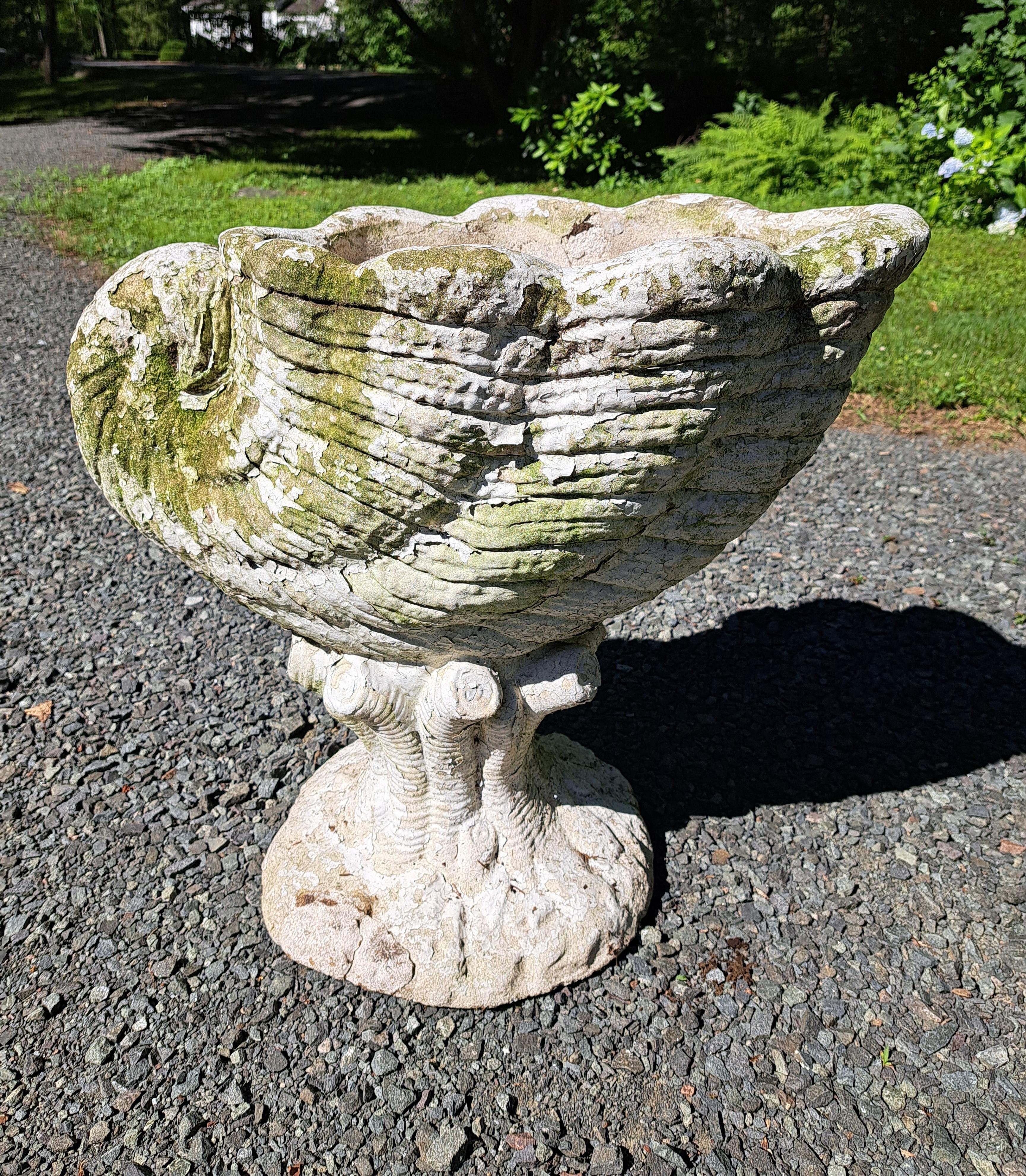 Nautilus Form Cement Garden Planter For Sale 4