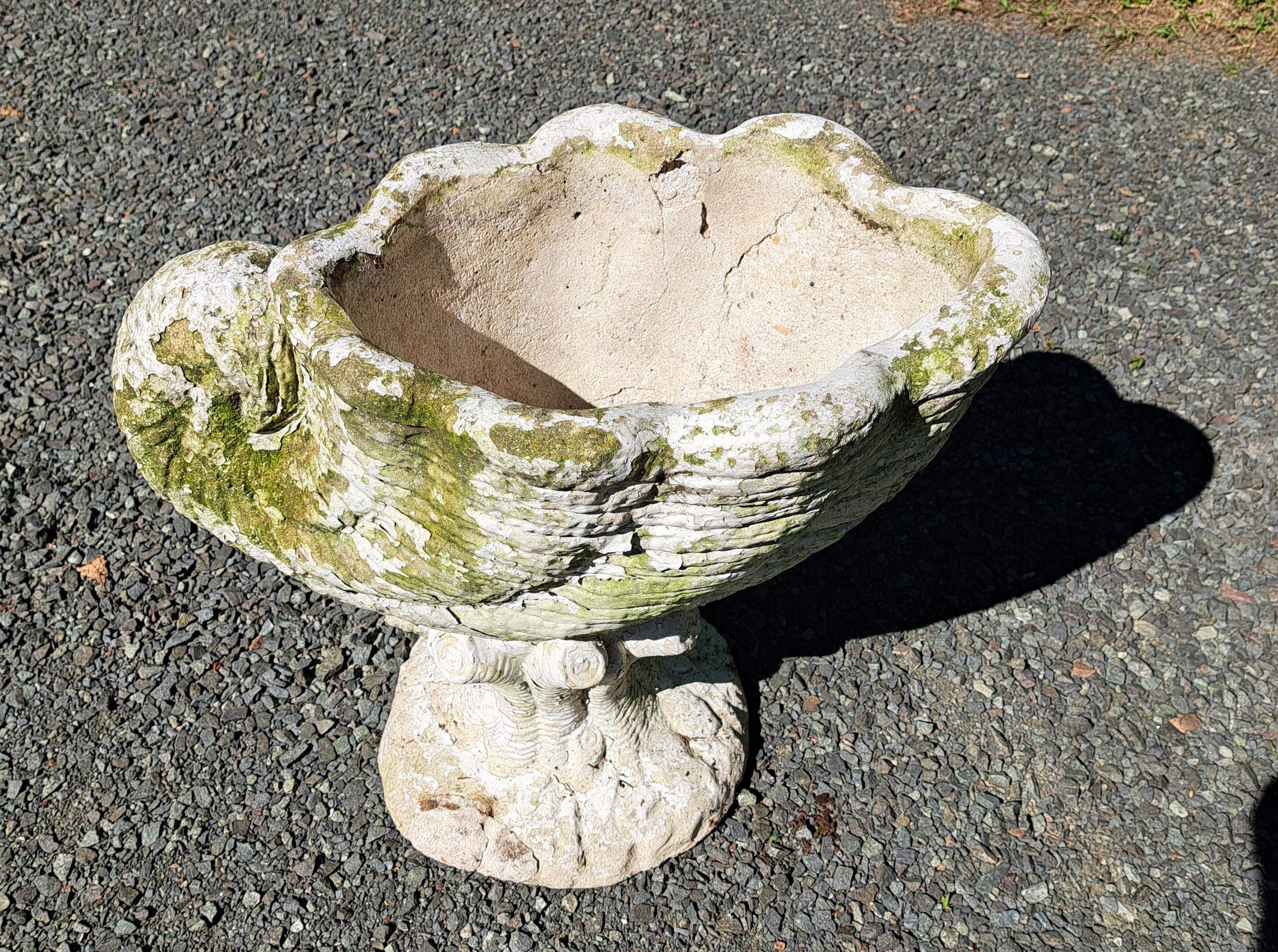 Nautilus Form Cement Garden Planter For Sale 5