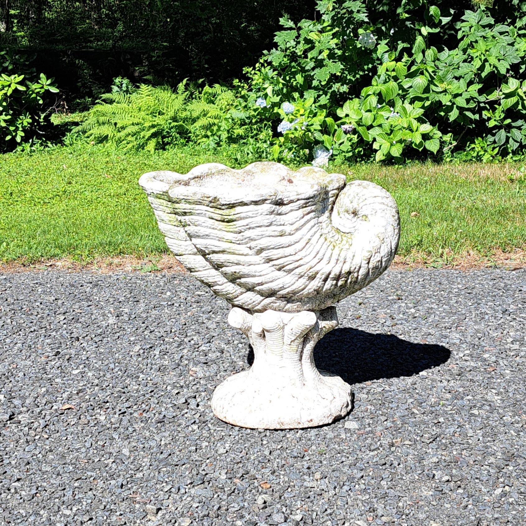 Nautilus Form Cement Garden Planter.  It is 22.5