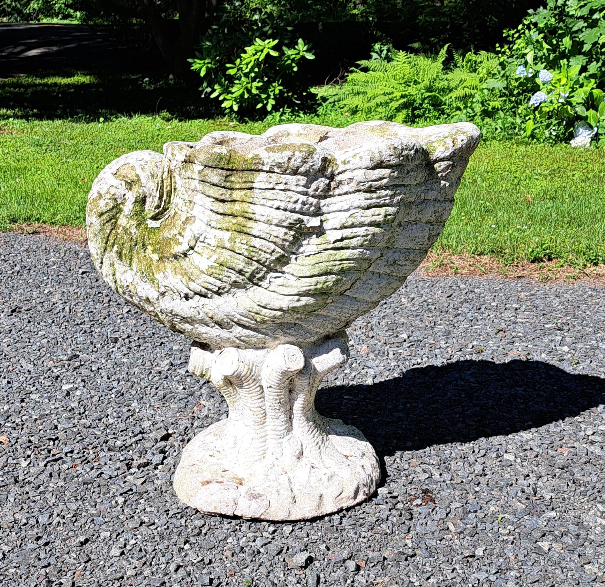 Nautilus Form Cement Garden Planter For Sale 1