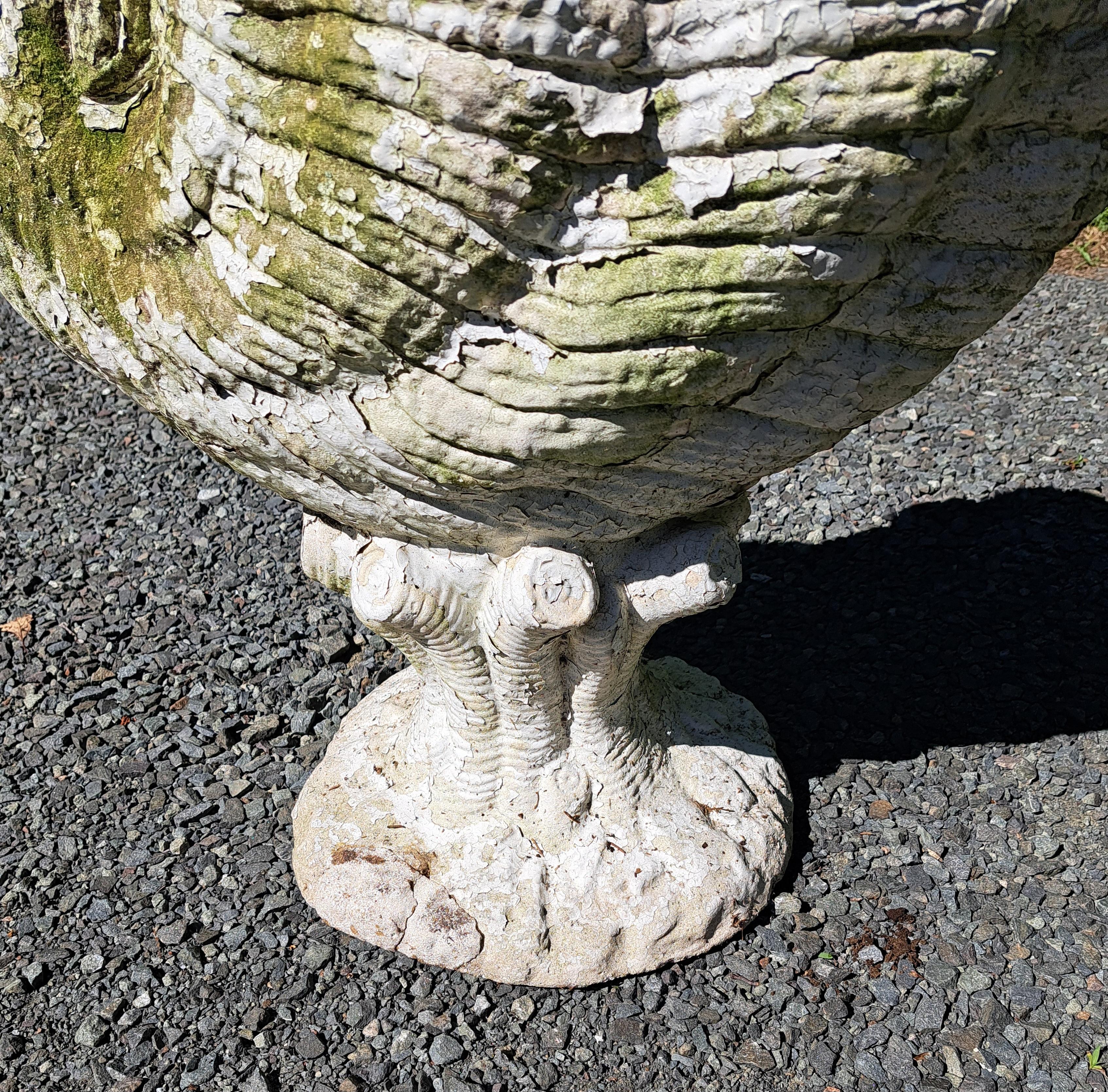 Nautilus Form Cement Garden Planter For Sale 2