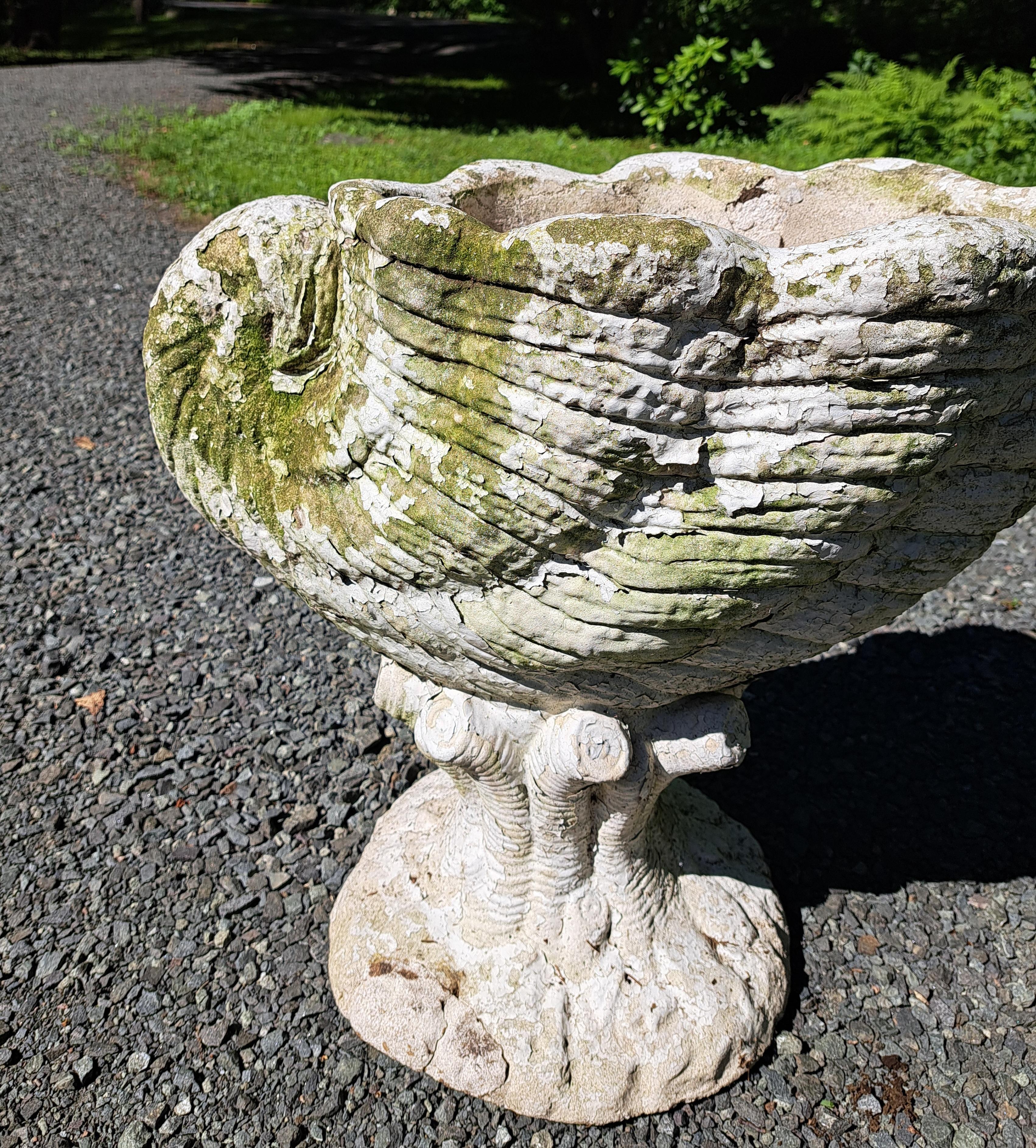 Nautilus Form Cement Garden Planter For Sale 3