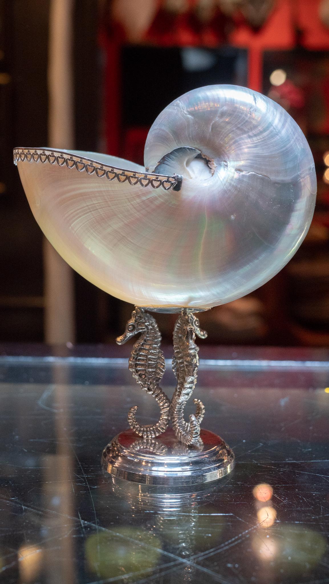 Nautilus navona on a sterling silver three dolphin mount 9