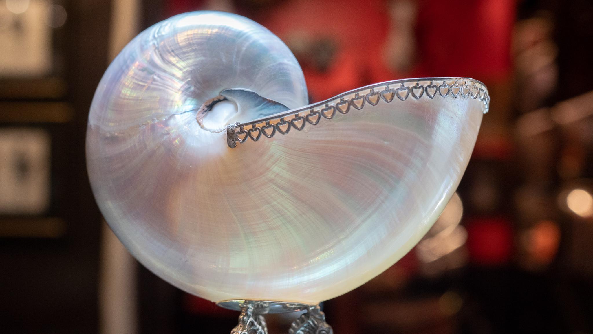 Mother of Pearl Nautilus ‘Navona’ Shell on Trifold Piscine Sterling Silver Base In Good Condition In New York, NY