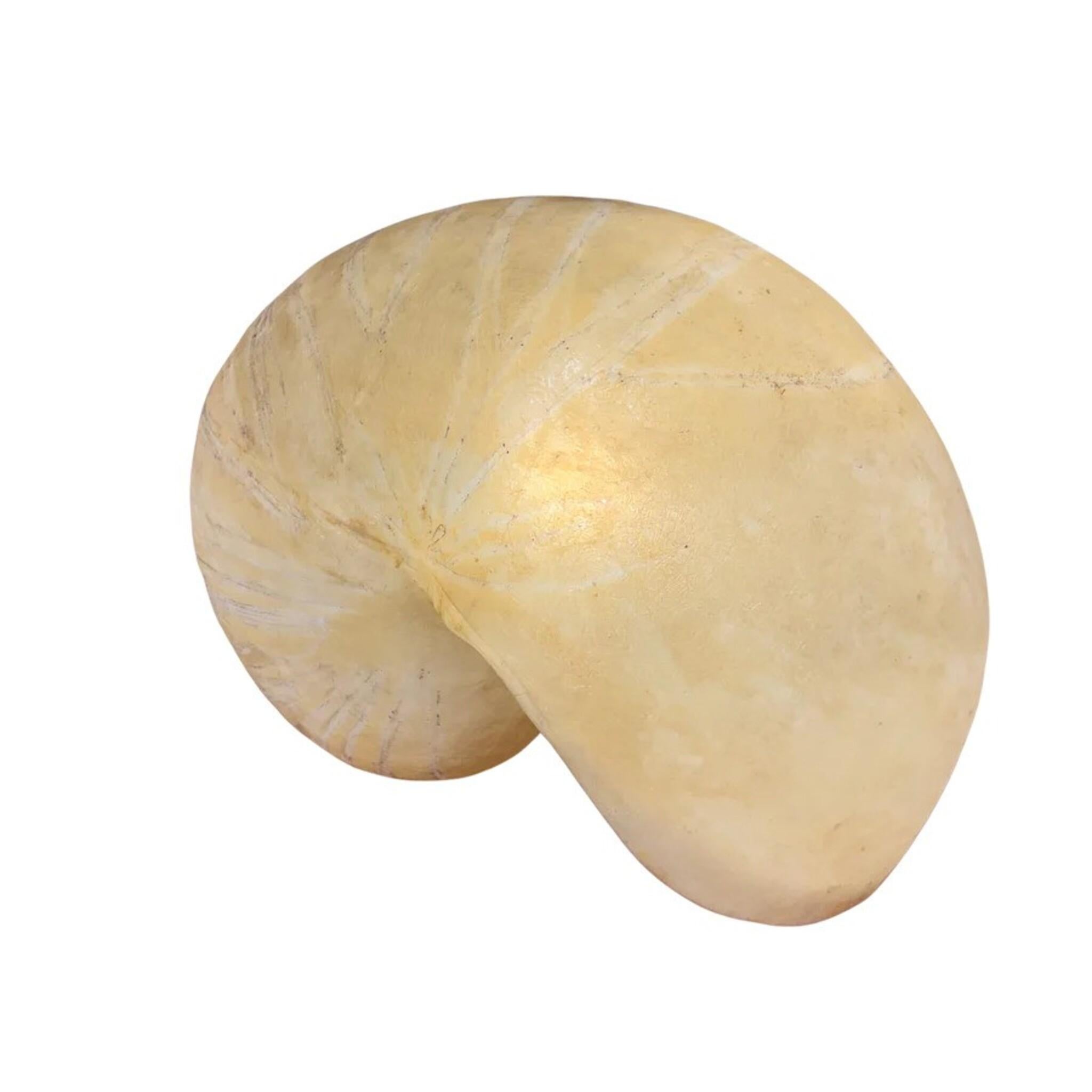 Resin ‘Nautilus’ Sculptural Table Lamp by Marika Carniti Bollea, Italy, 1970s For Sale