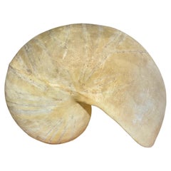 ‘Nautilus’ Sculptural Table Lamp by Marika Carniti Bollea, Italy, 1970s