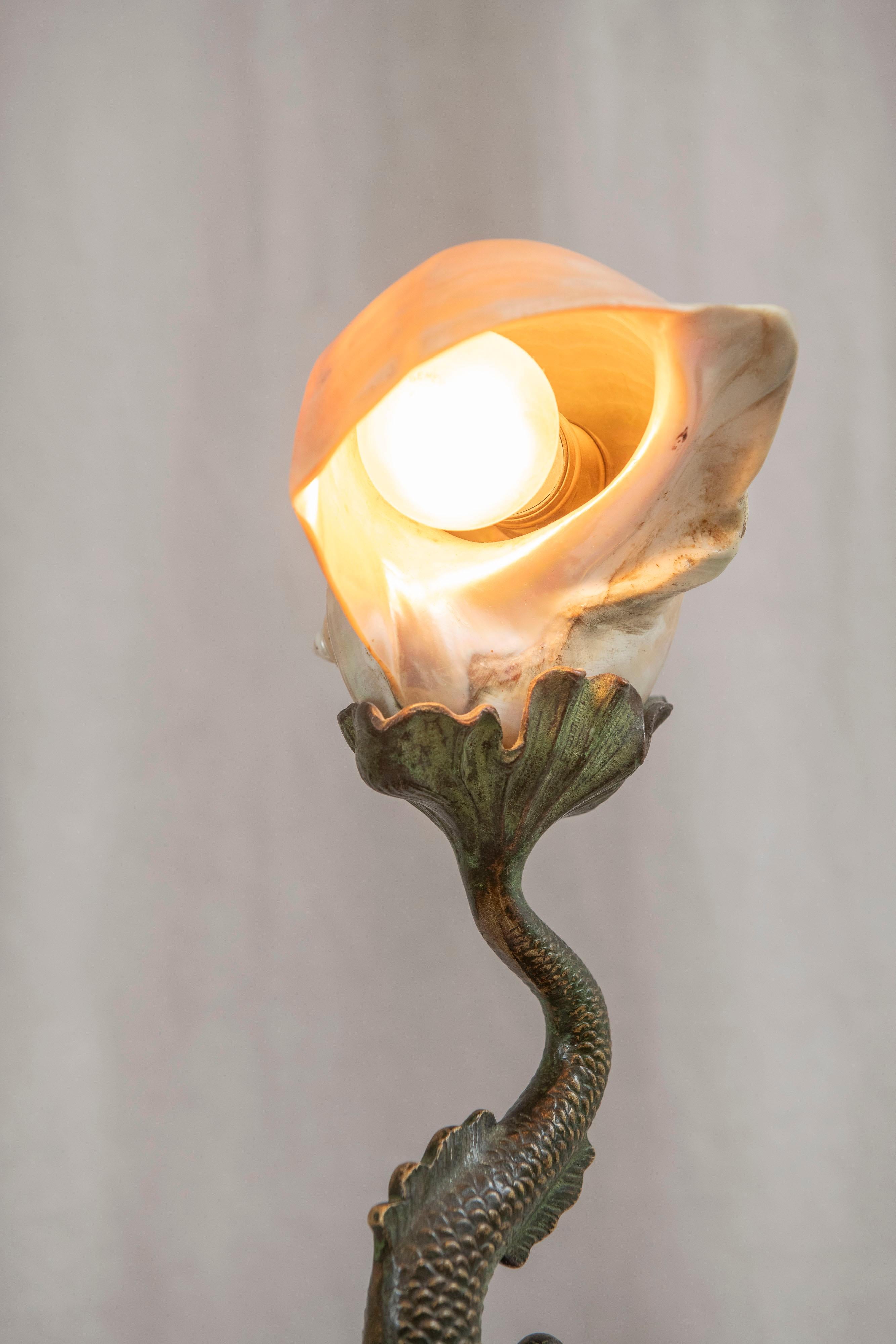 nautilus shell lamp