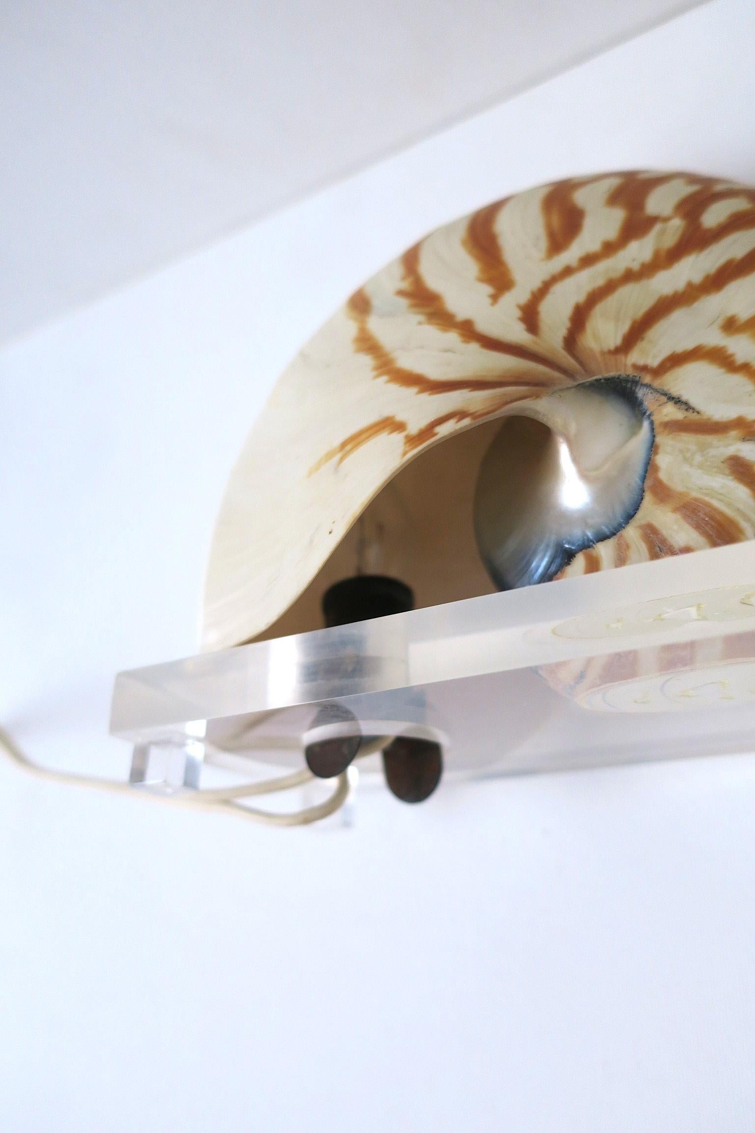 Nautilus Seashell and Lucite Table Lamp Light For Sale 5