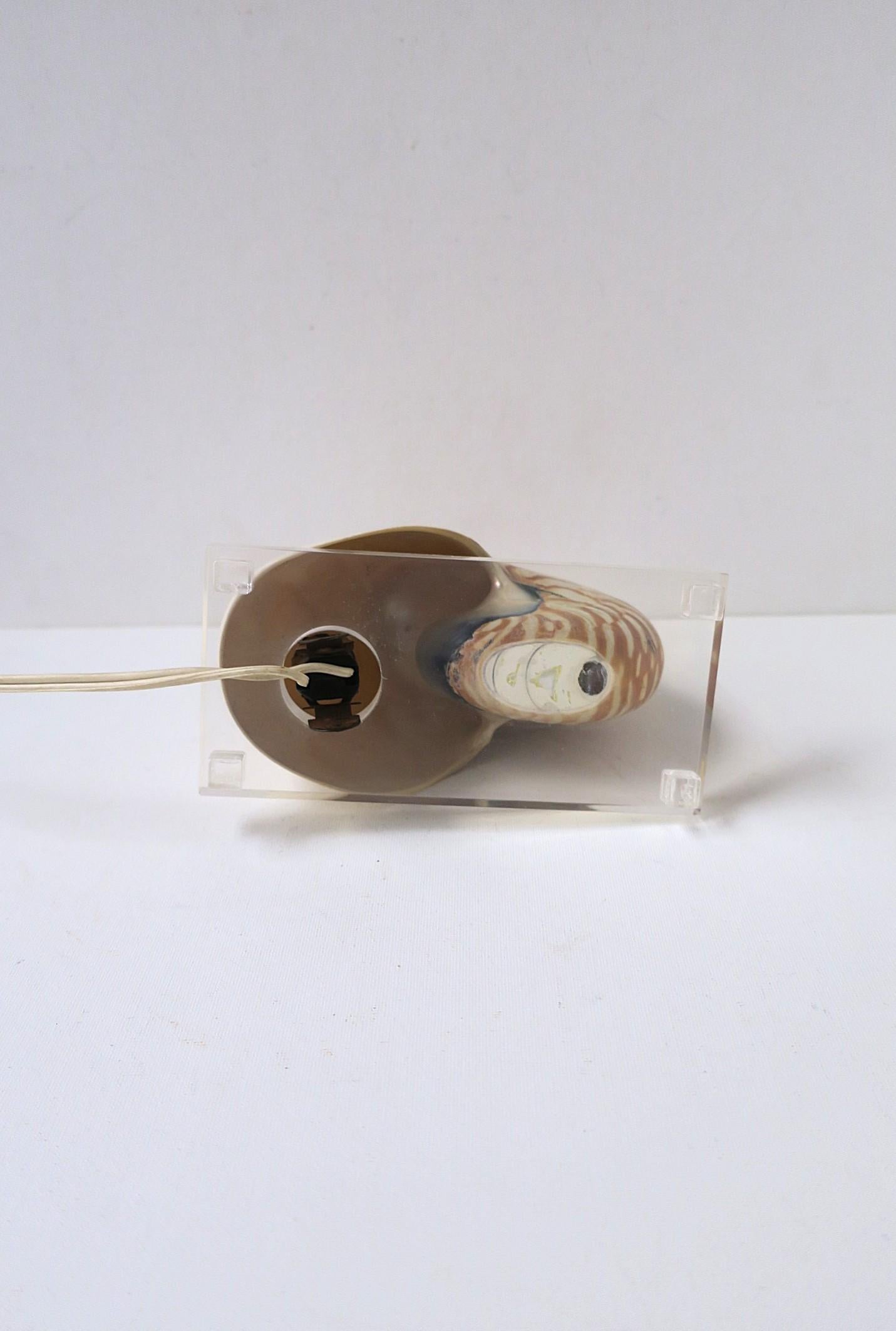 Nautilus Seashell and Lucite Table Lamp Light For Sale 6