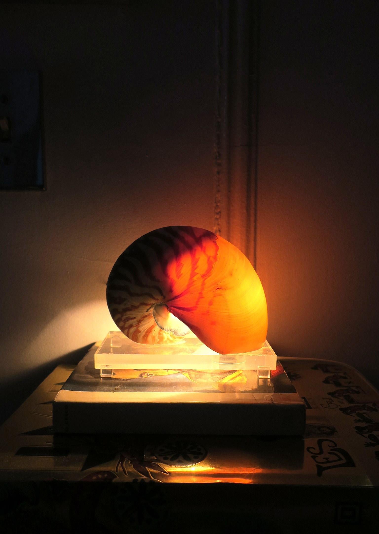 Nautilus Seashell and Lucite Table Lamp Light For Sale 7