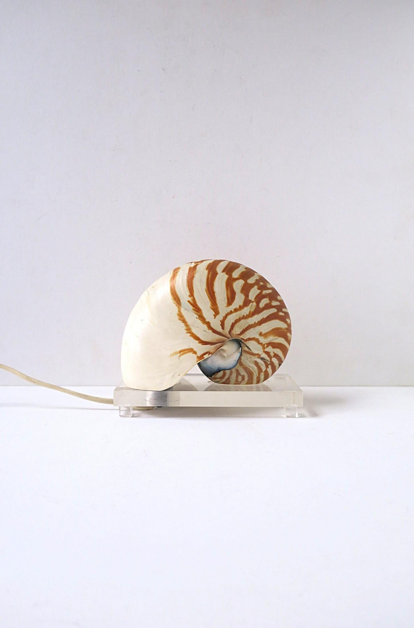 A beautiful natural nautilus 'tiger' seashell lamp light, in the Victorian and Modern styles (with its Lucite base), circa mid-20th century. Lamp/light is in fine working order as shown in very last image; (taken in the dark) offering subtle light