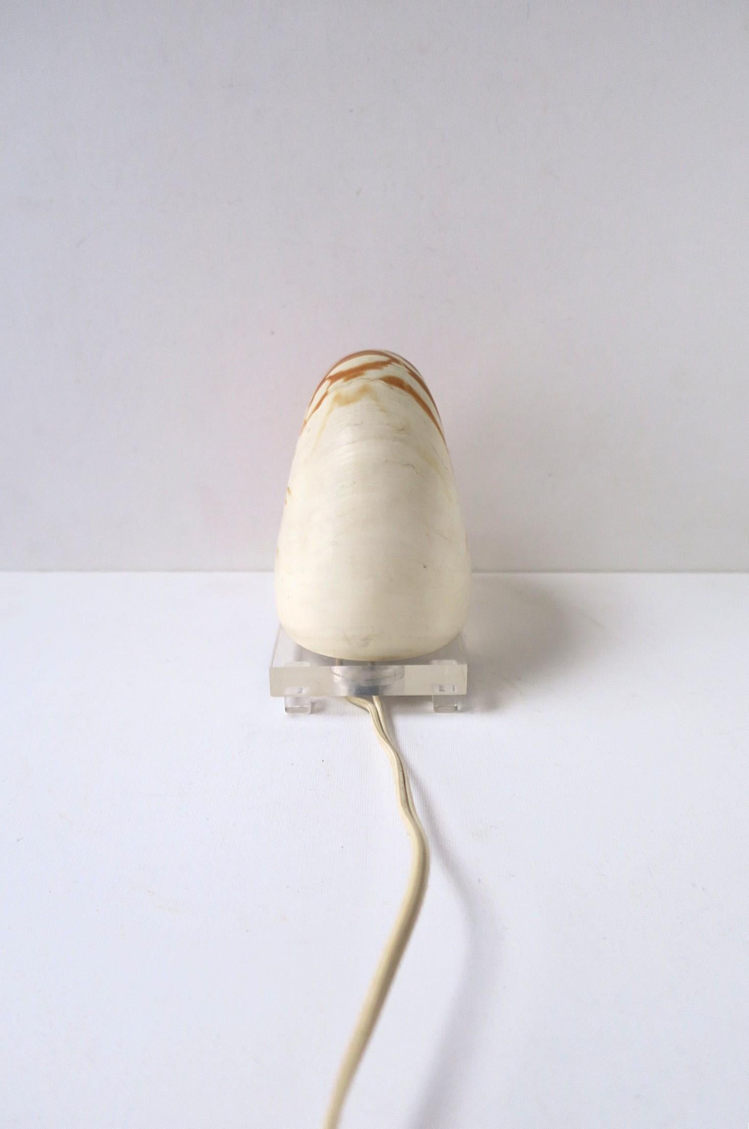 20th Century Nautilus Seashell and Lucite Table Lamp Light For Sale