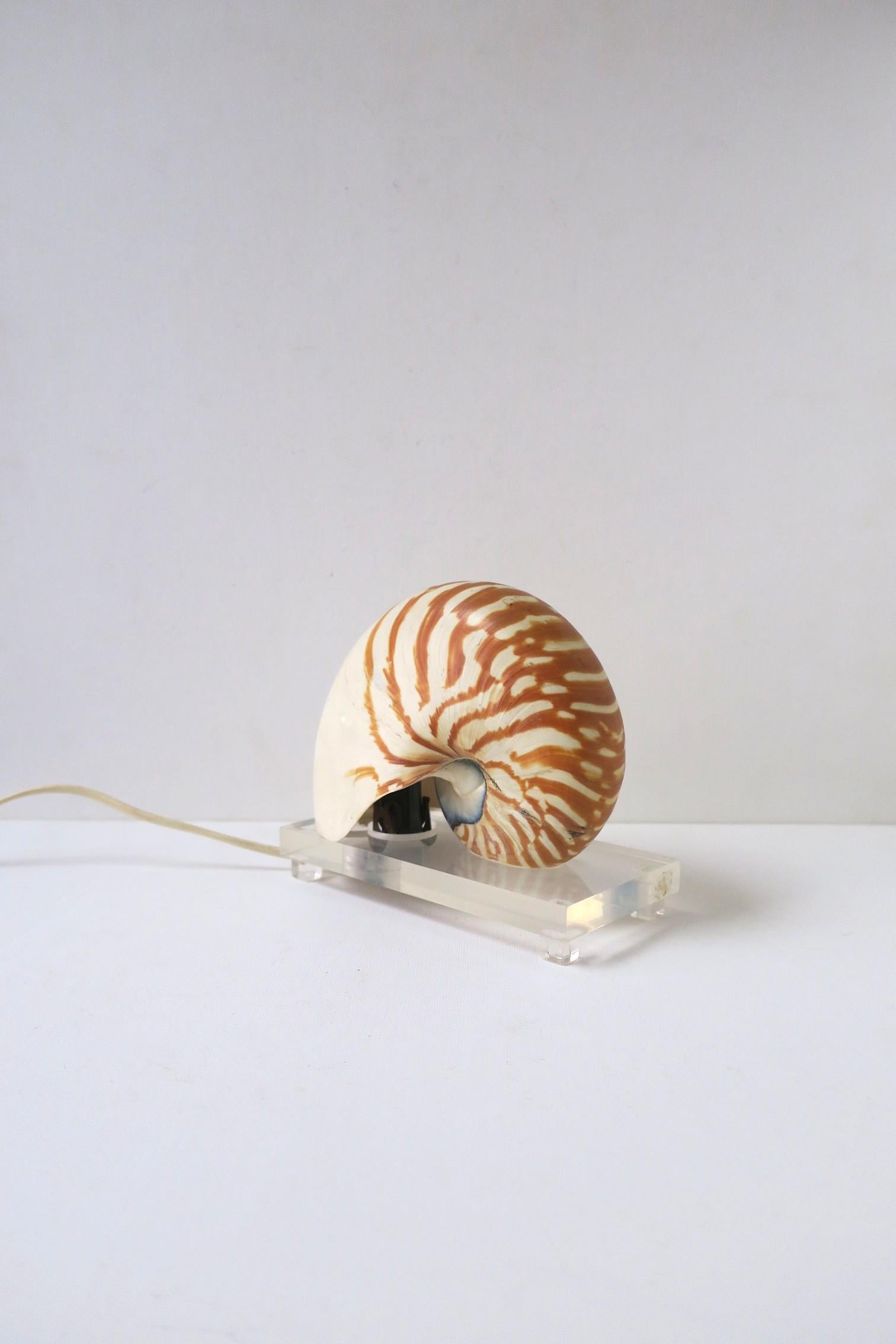 Nautilus Seashell and Lucite Table Lamp Light For Sale 1