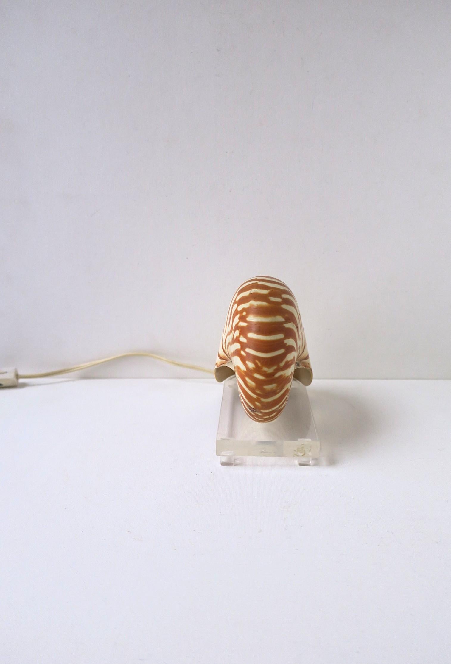 Nautilus Seashell and Lucite Table Lamp Light For Sale 2