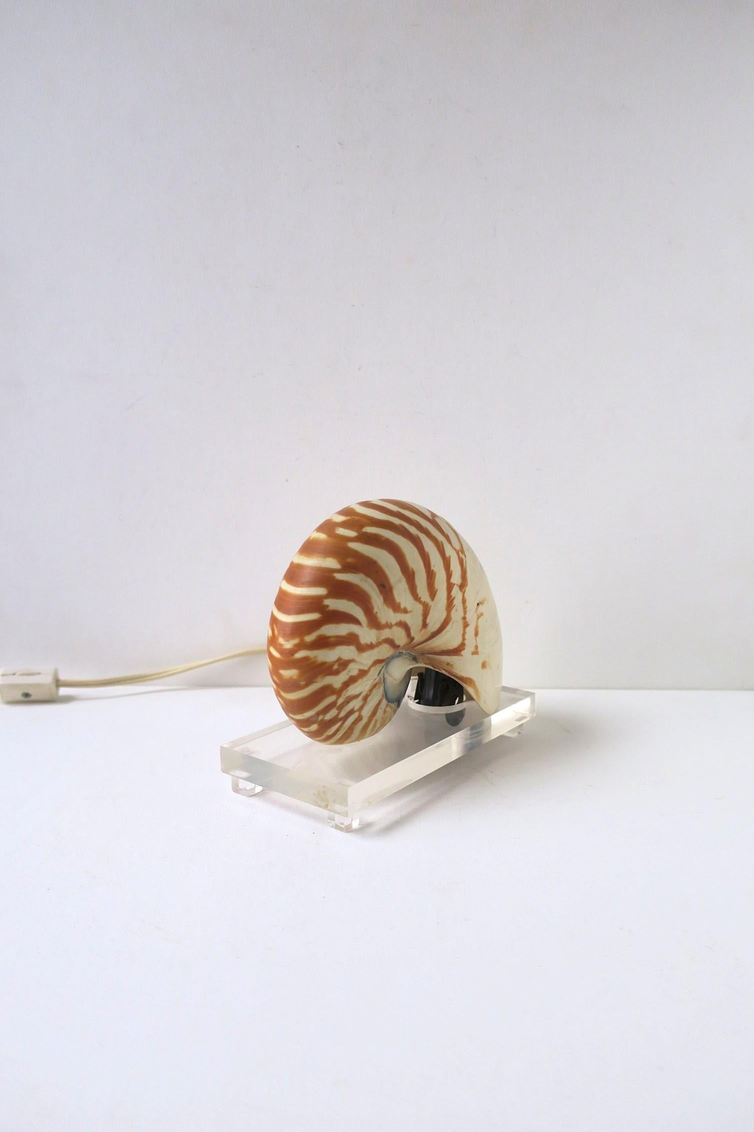 Nautilus Seashell and Lucite Table Lamp Light For Sale 3