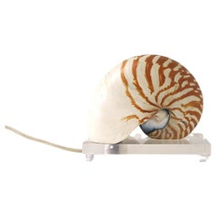 Nautilus Seashell and Lucite Table Lamp Light