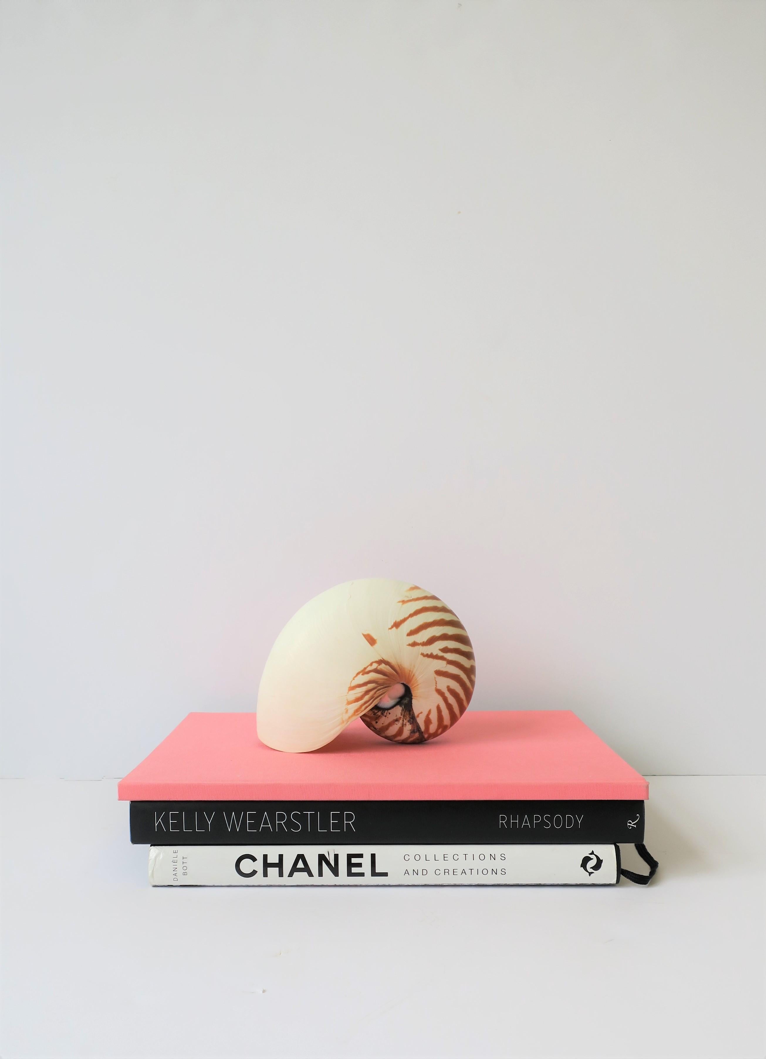 A beautiful nautilus seashell with tiger-like design. 

Seashell measures: 3