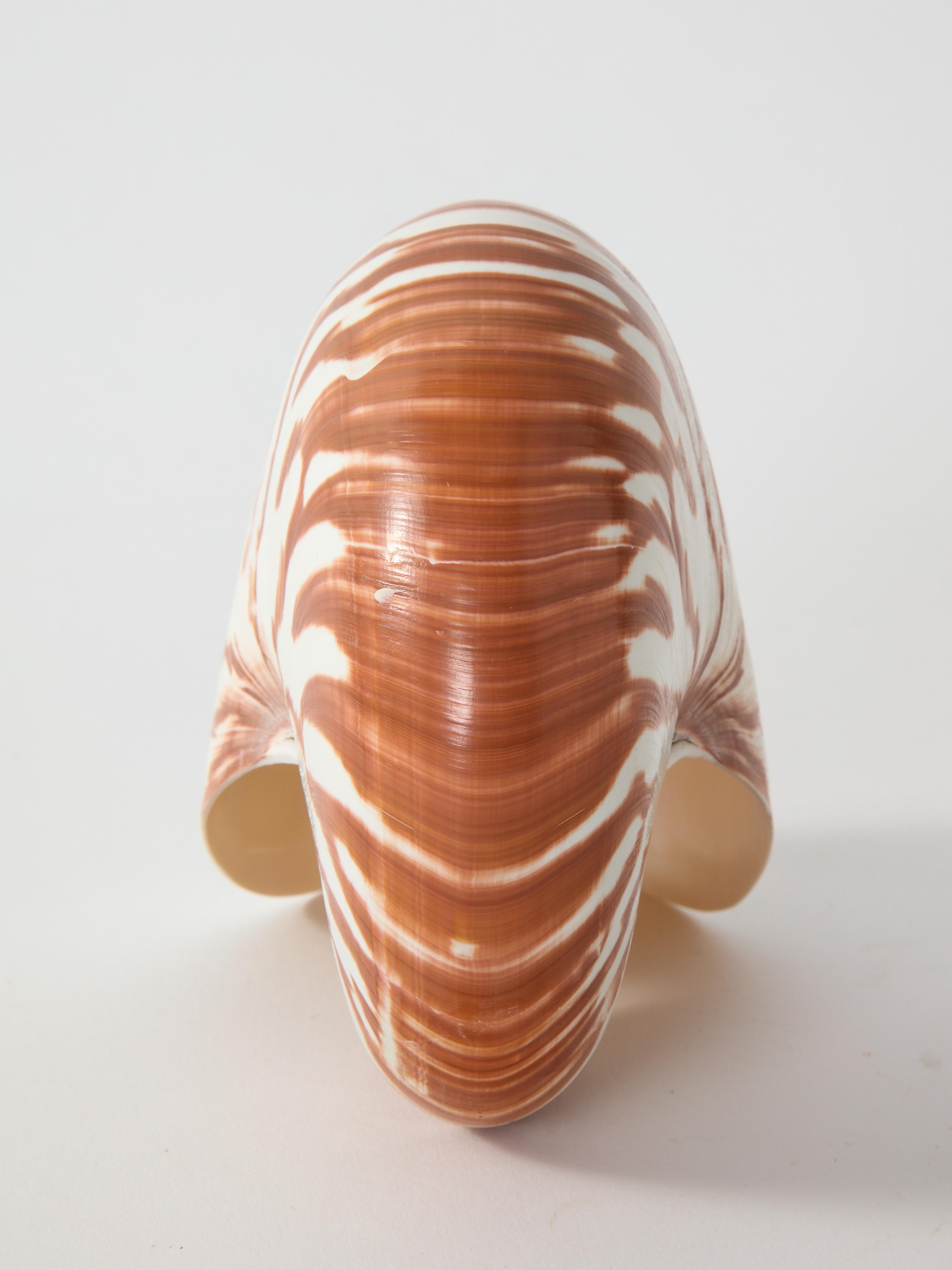 Nautilus Shell at 1stDibs