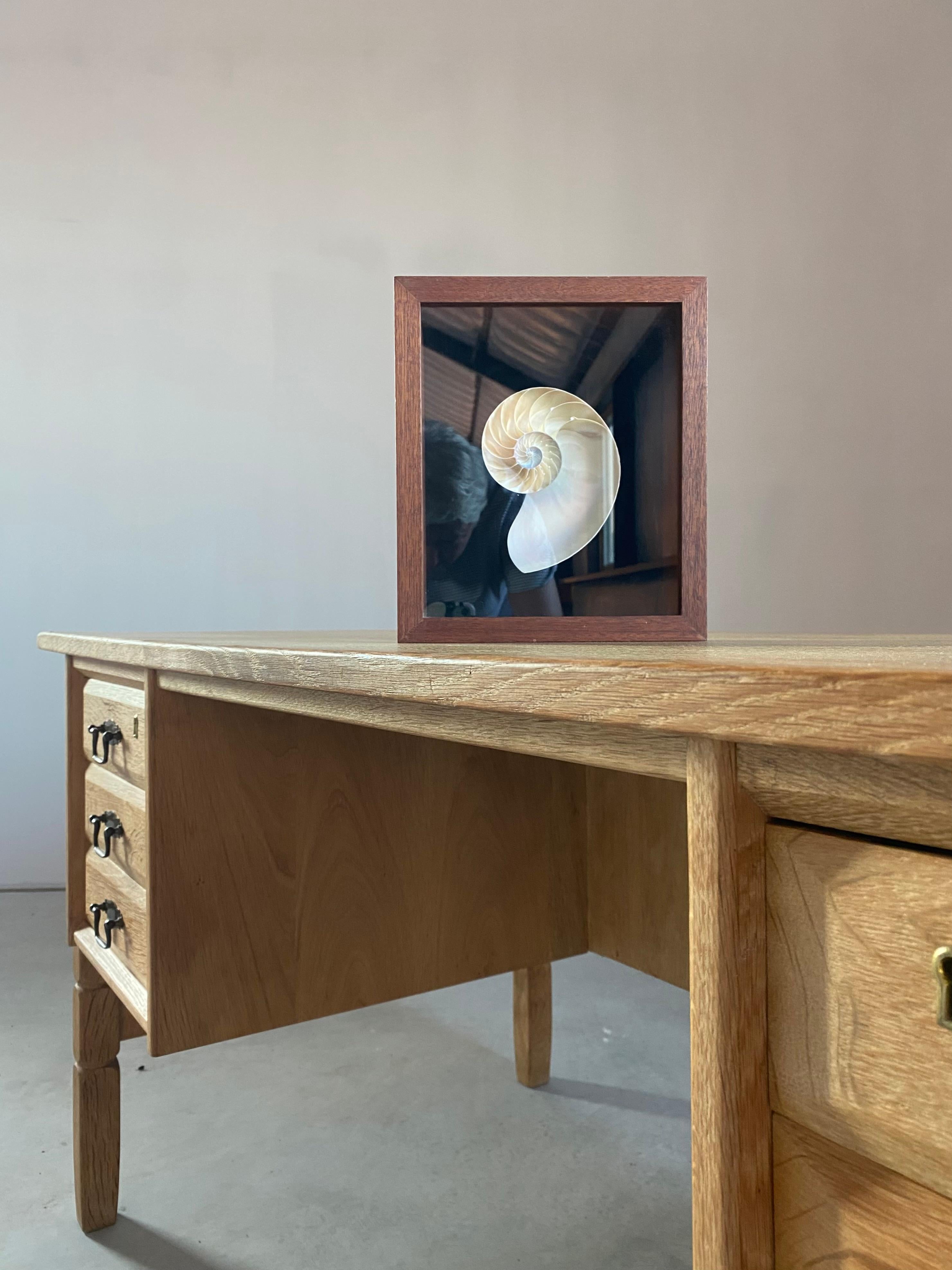 Hand-Crafted Nautilus Shell Shadow Box For Sale