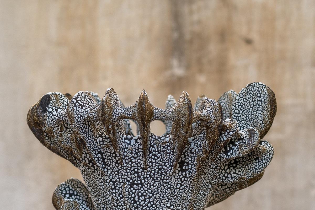 Moderno Vaso Nautilus in argilla nera con smaltatura a strisce di Kallia Panopoulou in vendita