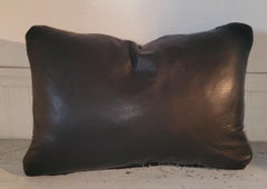 Navajo Eye Dazzler Kidney pillow w/Black Leather backing