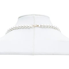 Navajo Golden Hill Turquoise Squash Blossom and Earrings