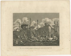Naval Might of Tahiti: War Canoes Observed by Captain Cook, circa 1817