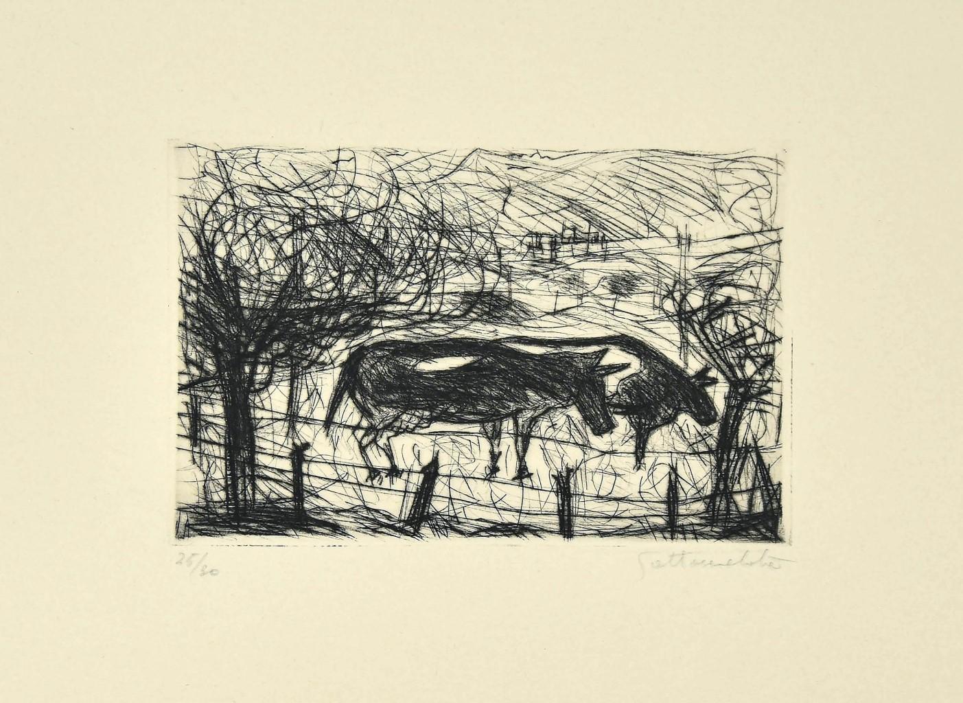Nazareno Gattamenata Figurative Print – Cows – Original-Radierung von Nazareno Gattamelata – Ende des 20. Jahrhunderts