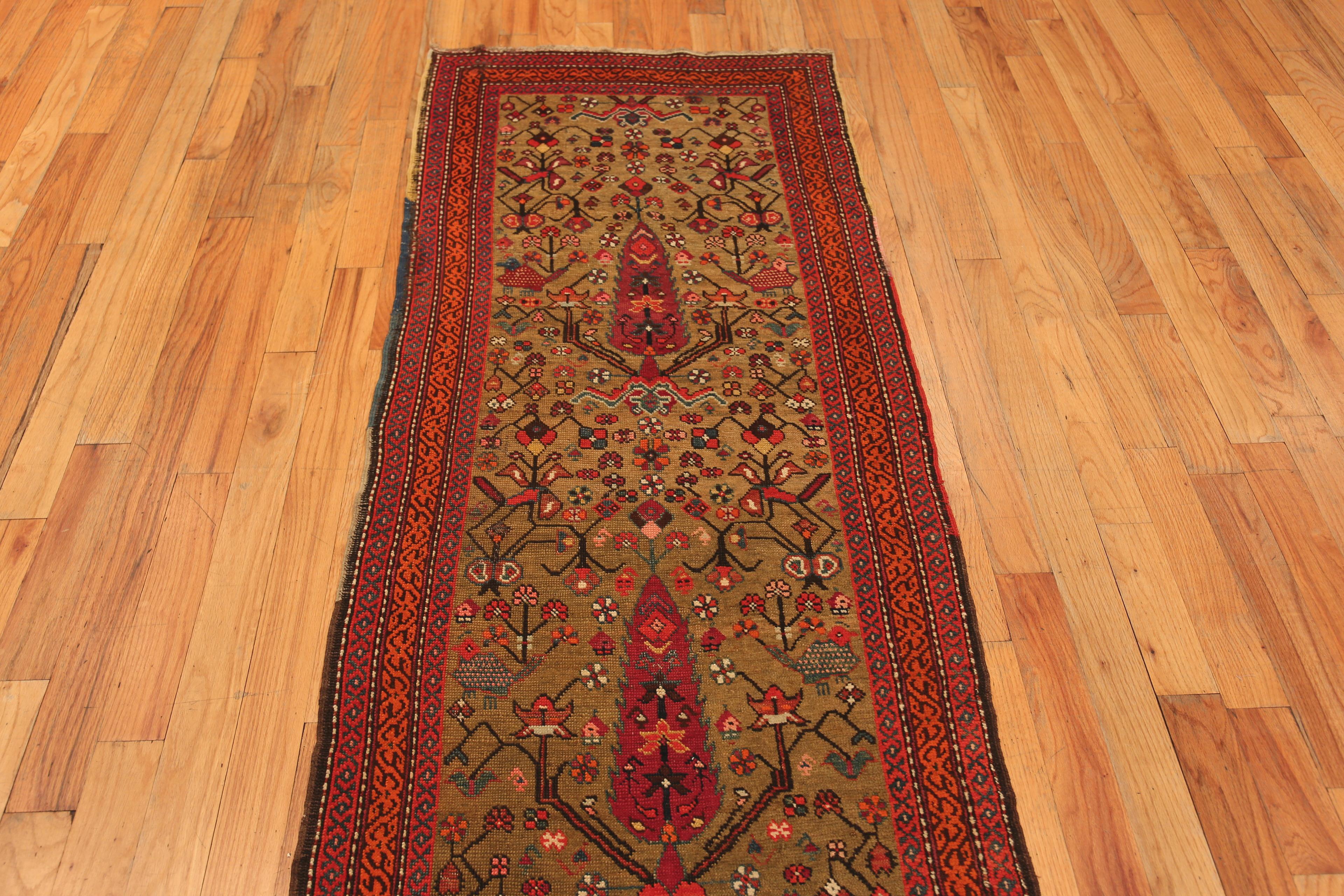 Nazmiyal Collection Antique Caucasian Cypress Tree Design Runner Rug, Country Of Origin: Caucasus, Circa date: 1900. Size: 3 ft x 14 ft 10 in (0.91 m x 4.52 m)