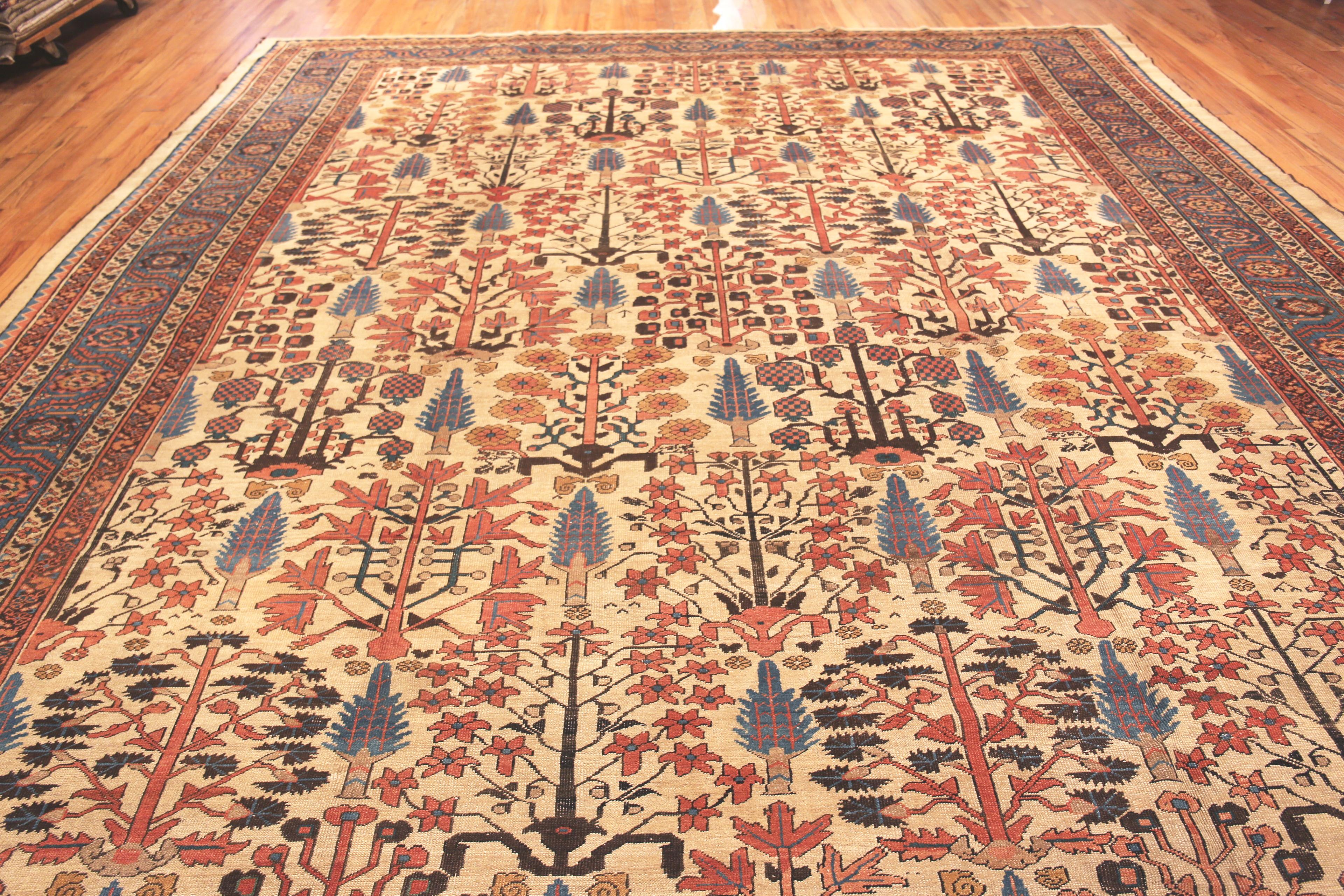 Beautiful Cypress Tree Design Large Antique Persian Bakshaish Rug, Country of Origin: Persia, Circa date: 1880 – Bakshaish is one of the oldest rug-weaving villages and is known for its artistic designs that feature many of the motifs you find
