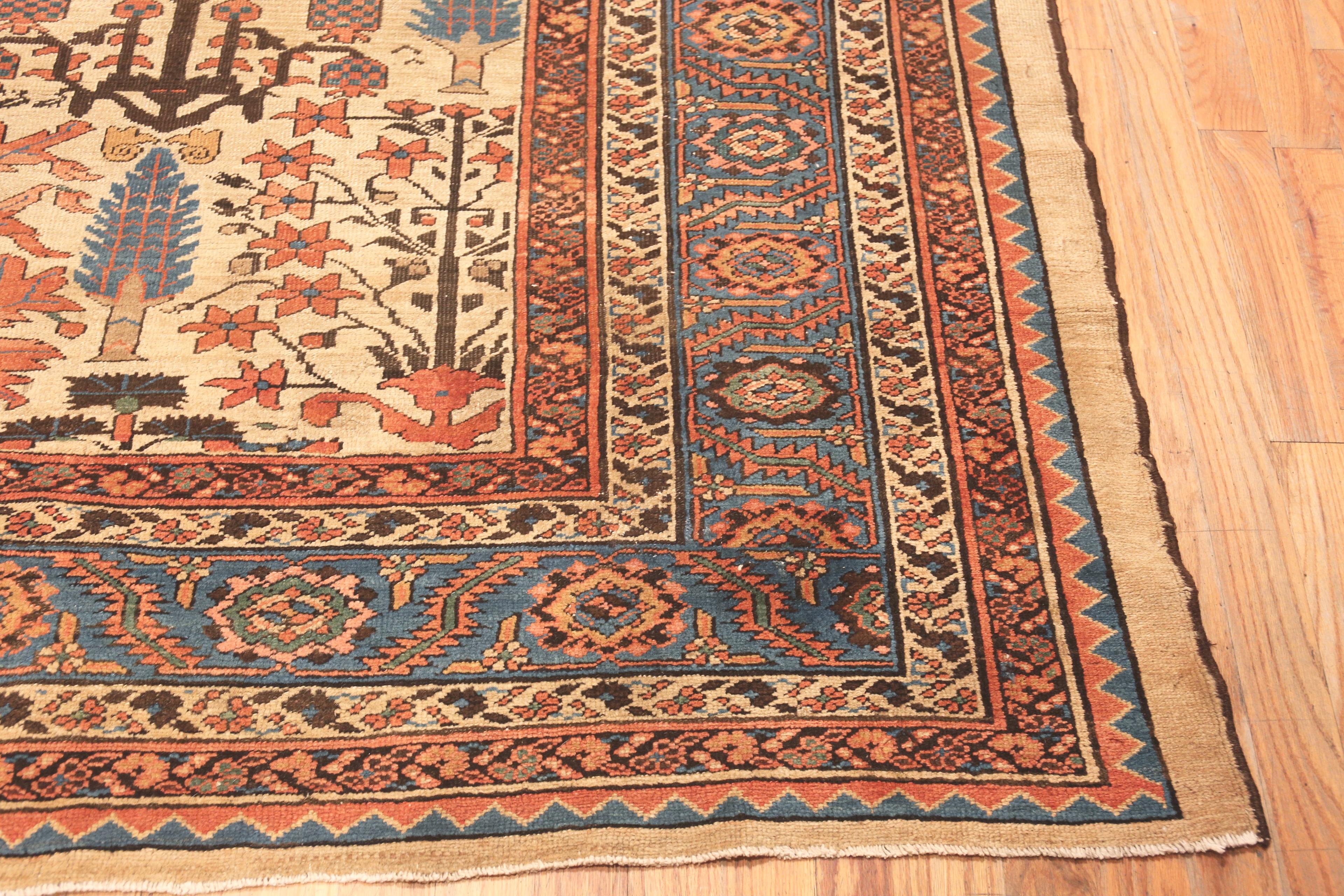 19th Century Antique Persian Bakshaish Rug. 13 ft 6 in x 18 ft 6 in For Sale