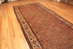 Antique Persian Malayer Rug. 7 ft 2 in x 16 ft 9 in