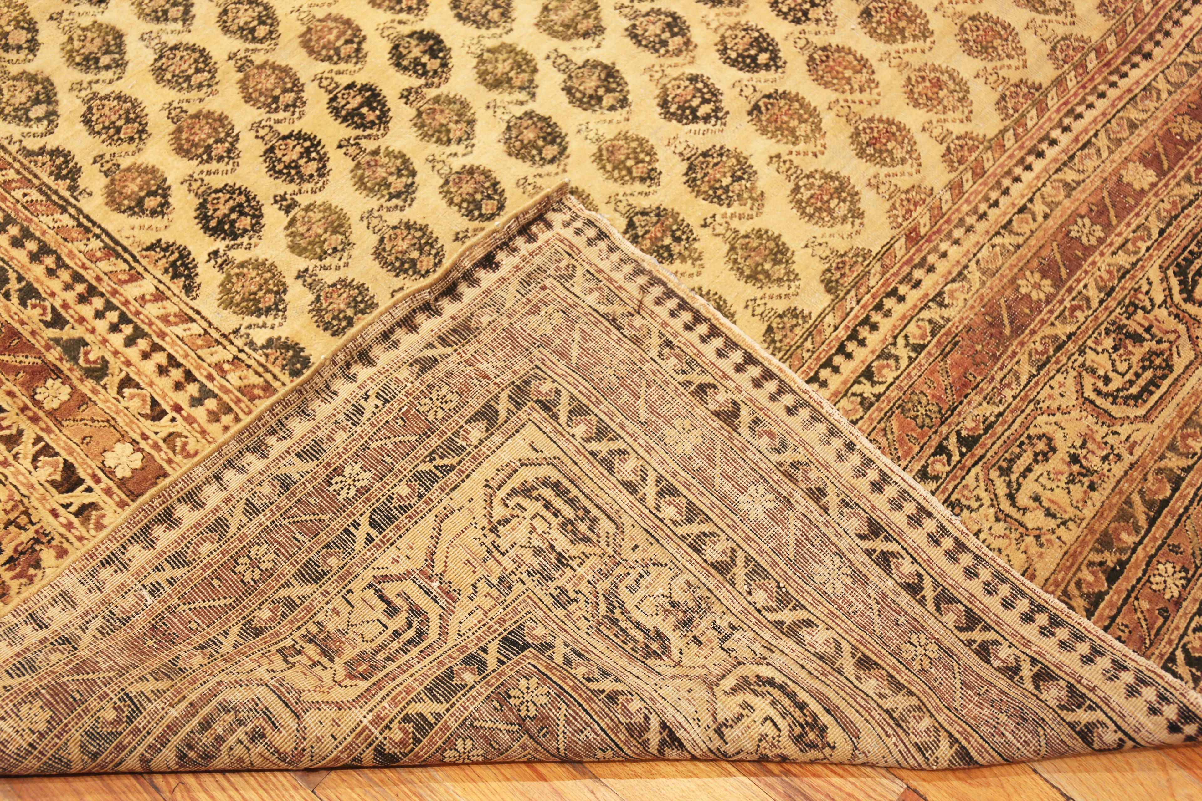 Nazmiyal Collection große antike indische Agra Stammes-Teppich 14 ft 5 in x 19 ft 2 in (Indisch) im Angebot