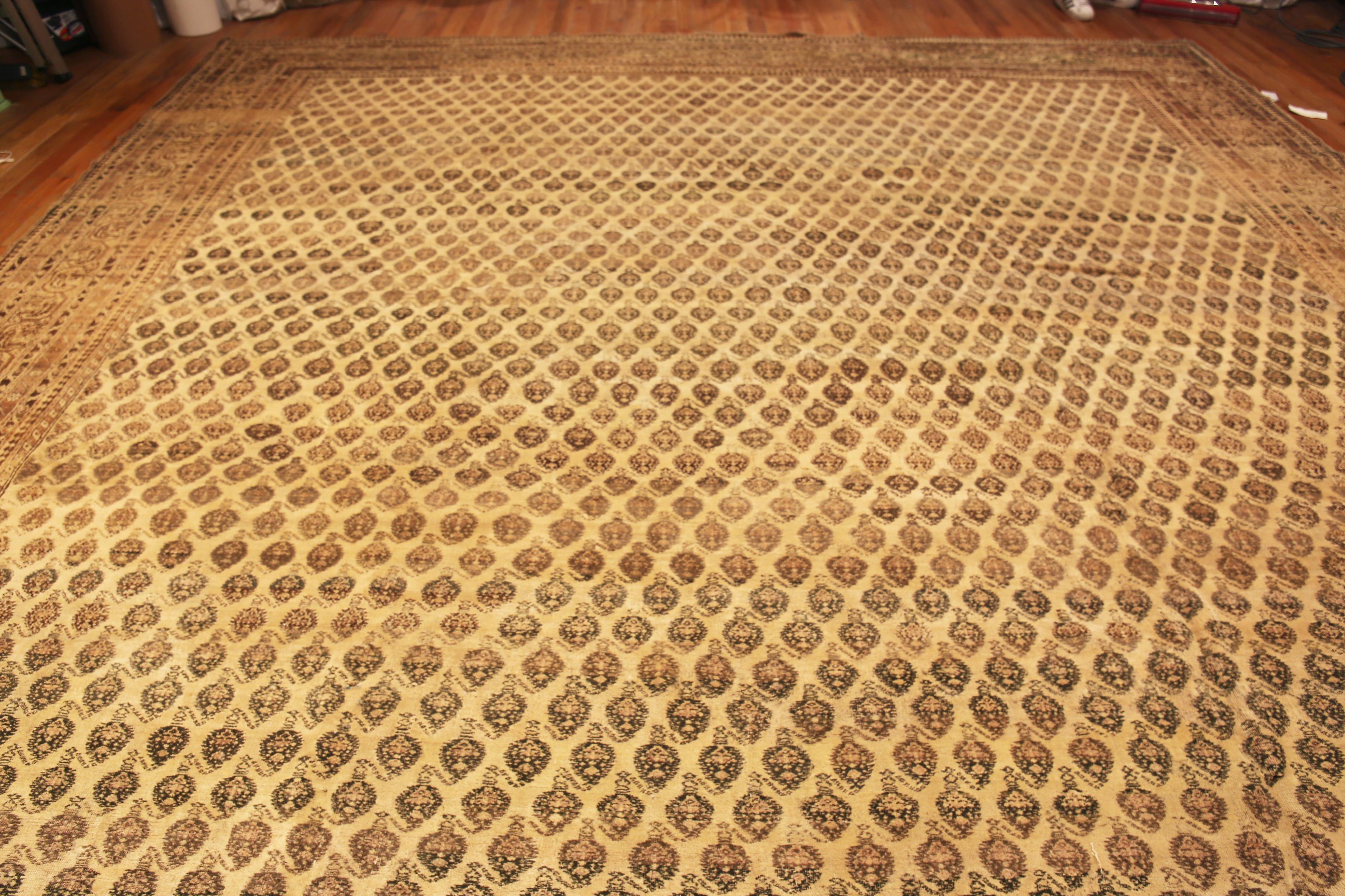 Nazmiyal Collection große antike indische Agra Stammes-Teppich 14 ft 5 in x 19 ft 2 in (Handgeknüpft) im Angebot