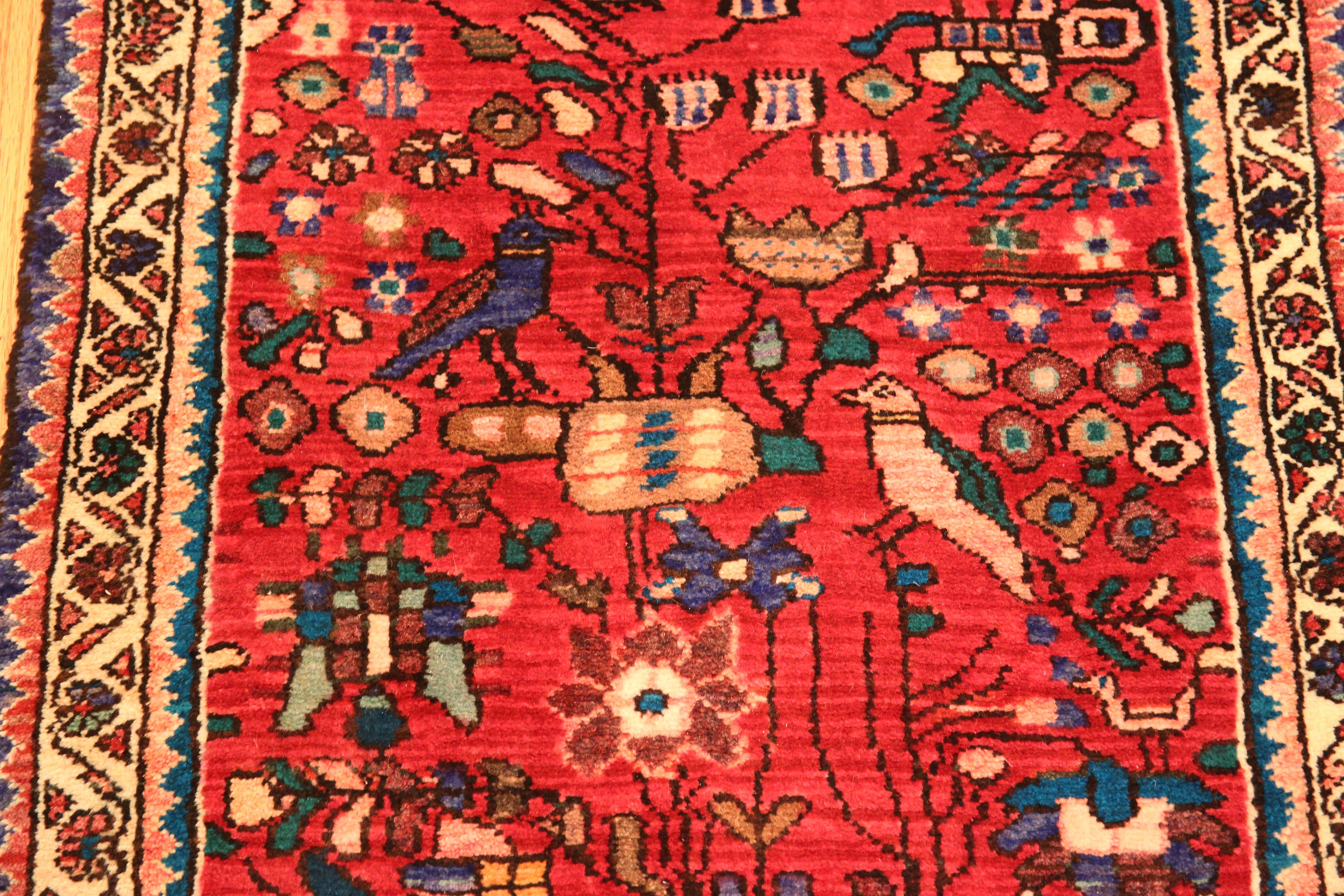 Bellissimo Tappeto Runner Hamadan Vintage con disegno di uccelli persiani, Paese d'origine: Persia, Data di realizzazione: Vintage