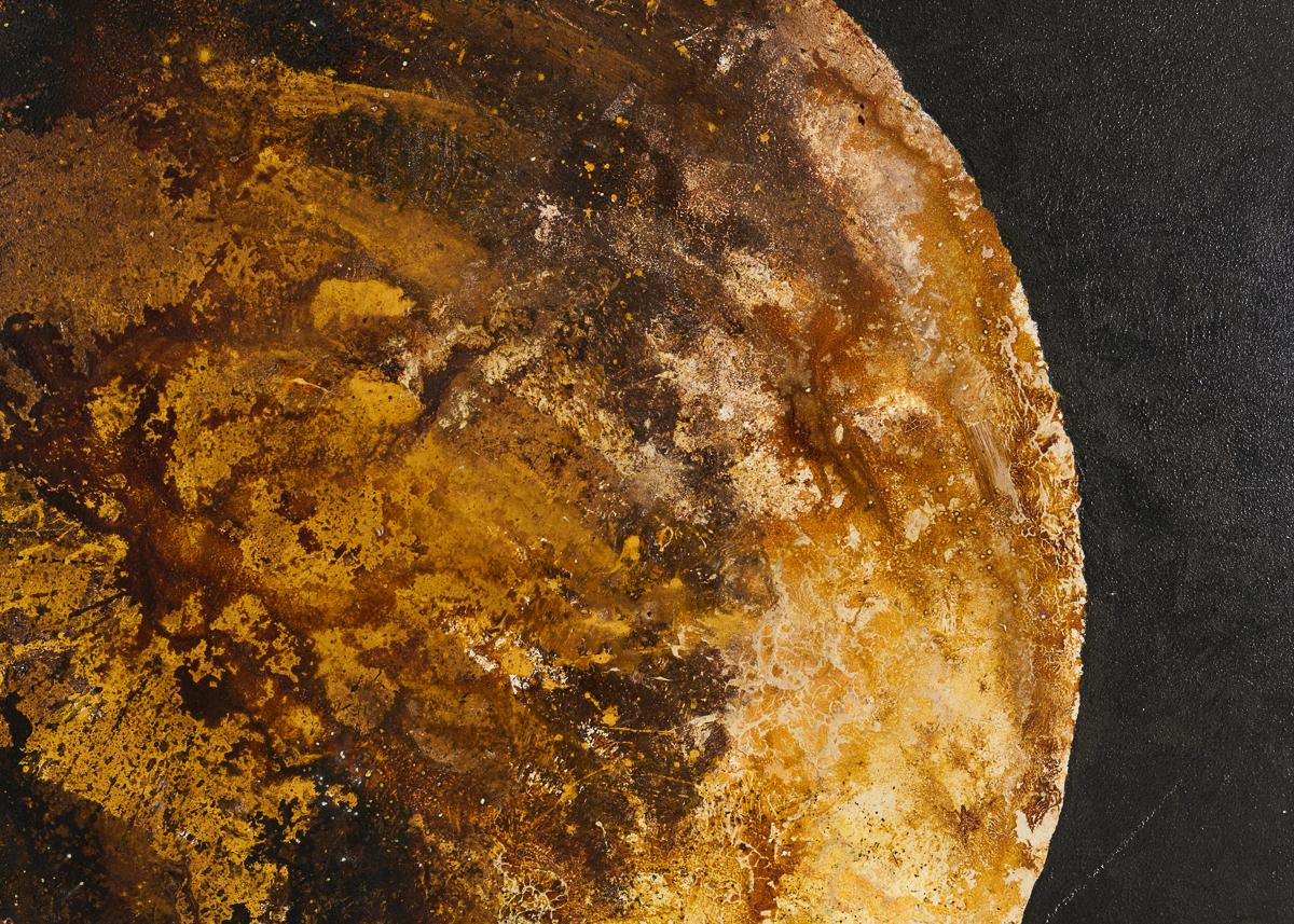 Thierry Despont, best-known as a very successful architect, was also an accomplished artist. In his painting practice, when not analyzing the smallest, most detailed creatures of the natural world (such as fish or insects) he was at work on its