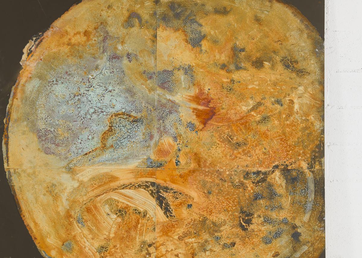 Thierry Despont, mieux connu comme architecte à succès, était également un artiste accompli. Dans sa pratique de la peinture, lorsqu'il n'analysait pas les créatures les plus petites et les plus détaillées du monde naturel (comme les poissons ou les