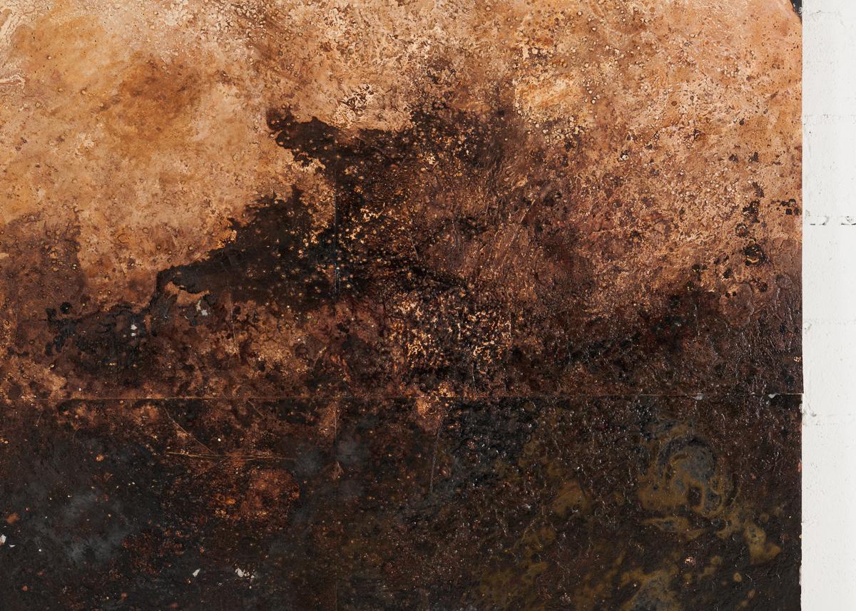 Thierry Despont, mieux connu comme architecte à succès, était également un artiste accompli. Dans sa pratique de la peinture, lorsqu'il n'analysait pas les créatures les plus petites et les plus détaillées du monde naturel (comme les poissons ou les