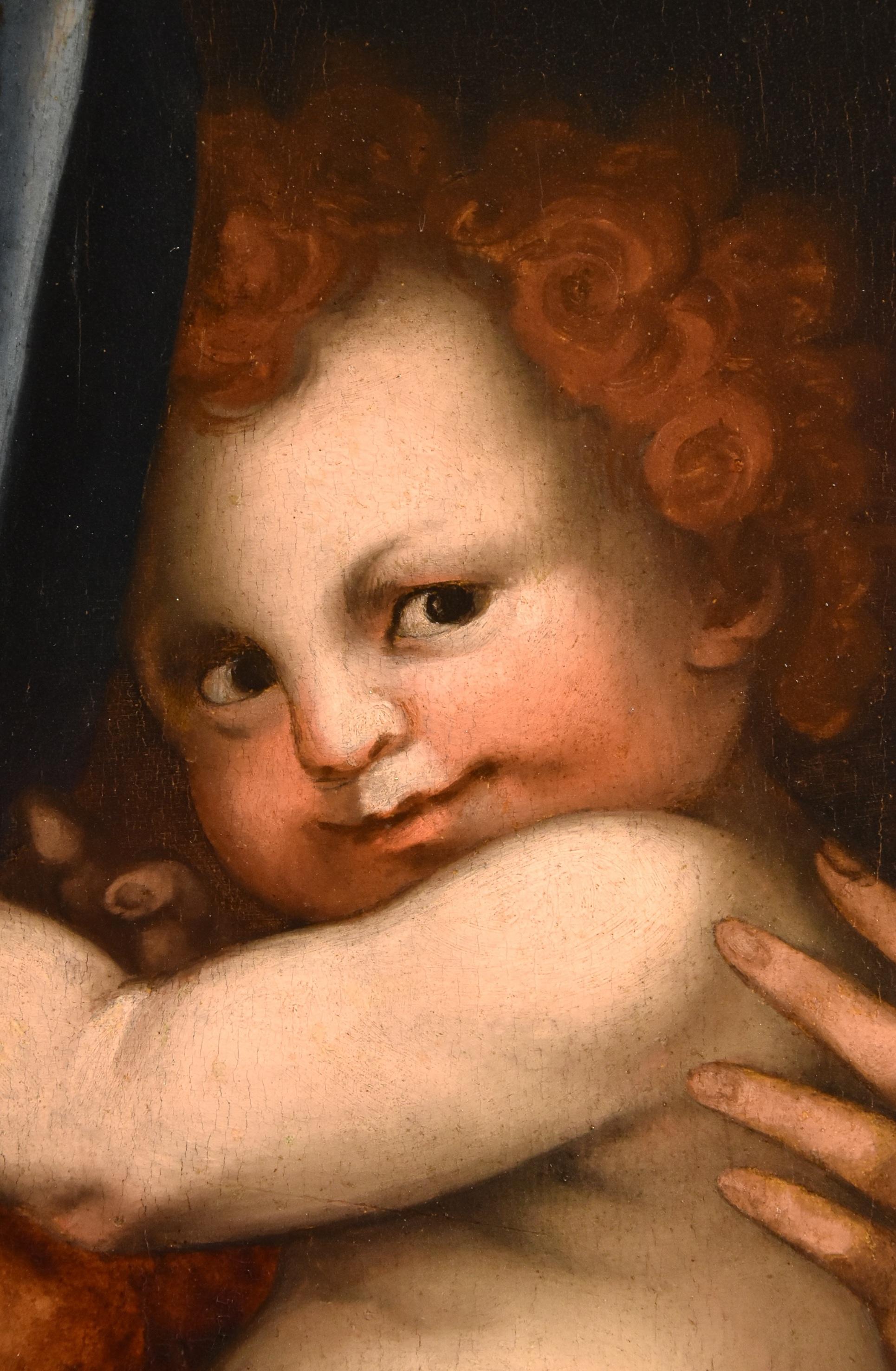 Peinture de Madonna Child Del Sarto sur table Maître ancien du 16ème siècle en vente 14